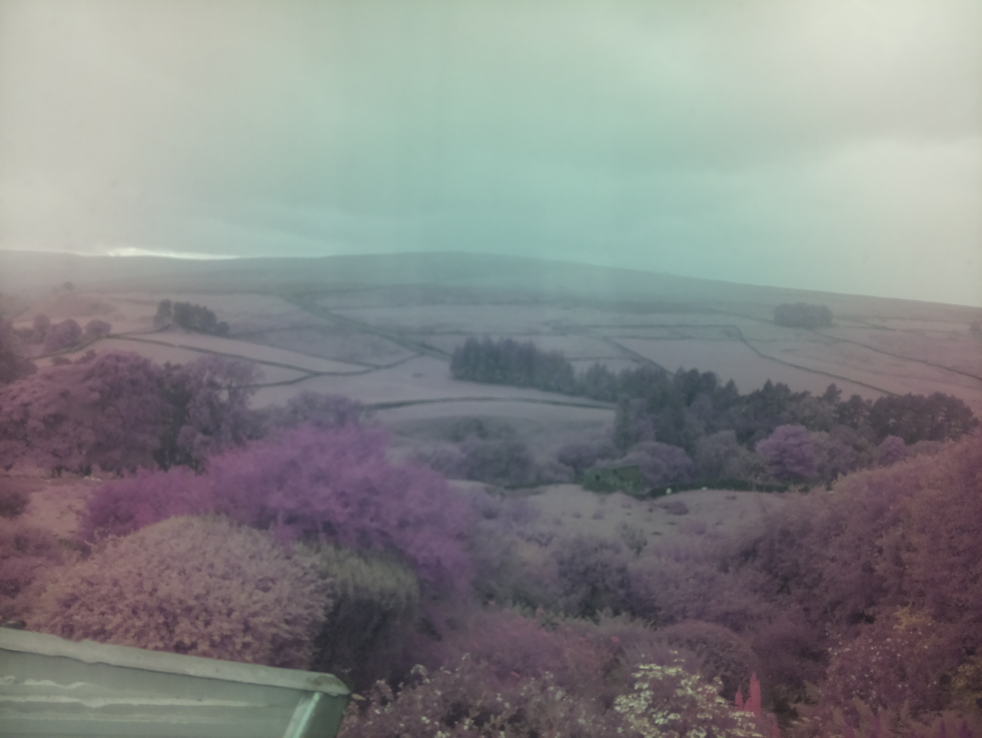 raspi webcam photo