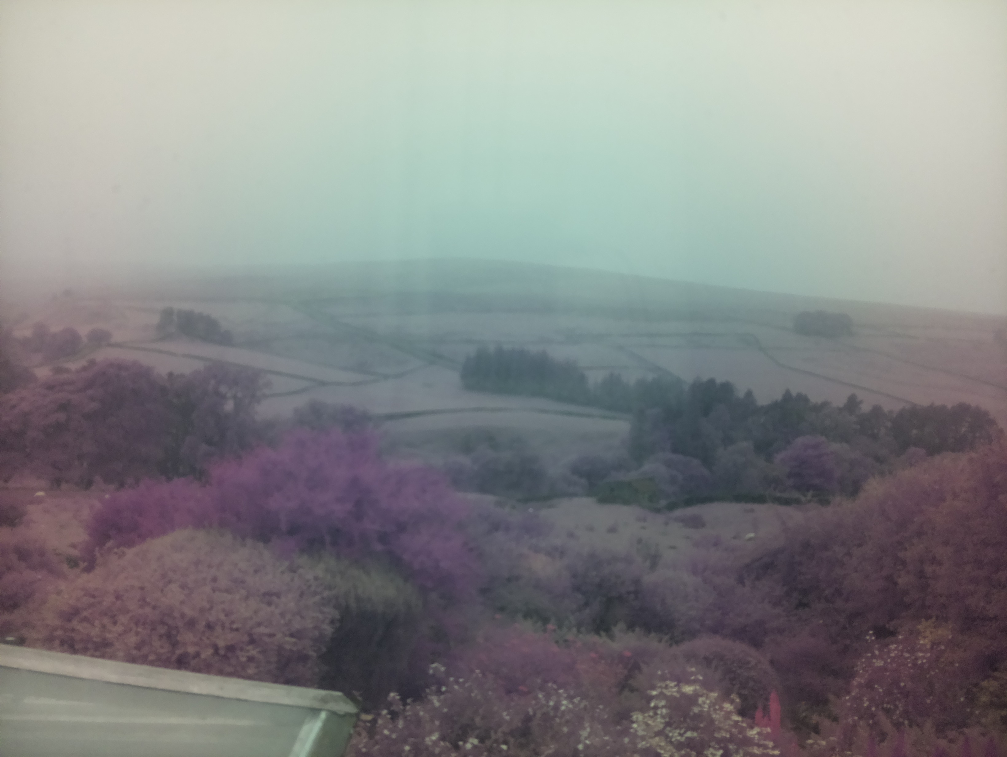 raspi webcam photo