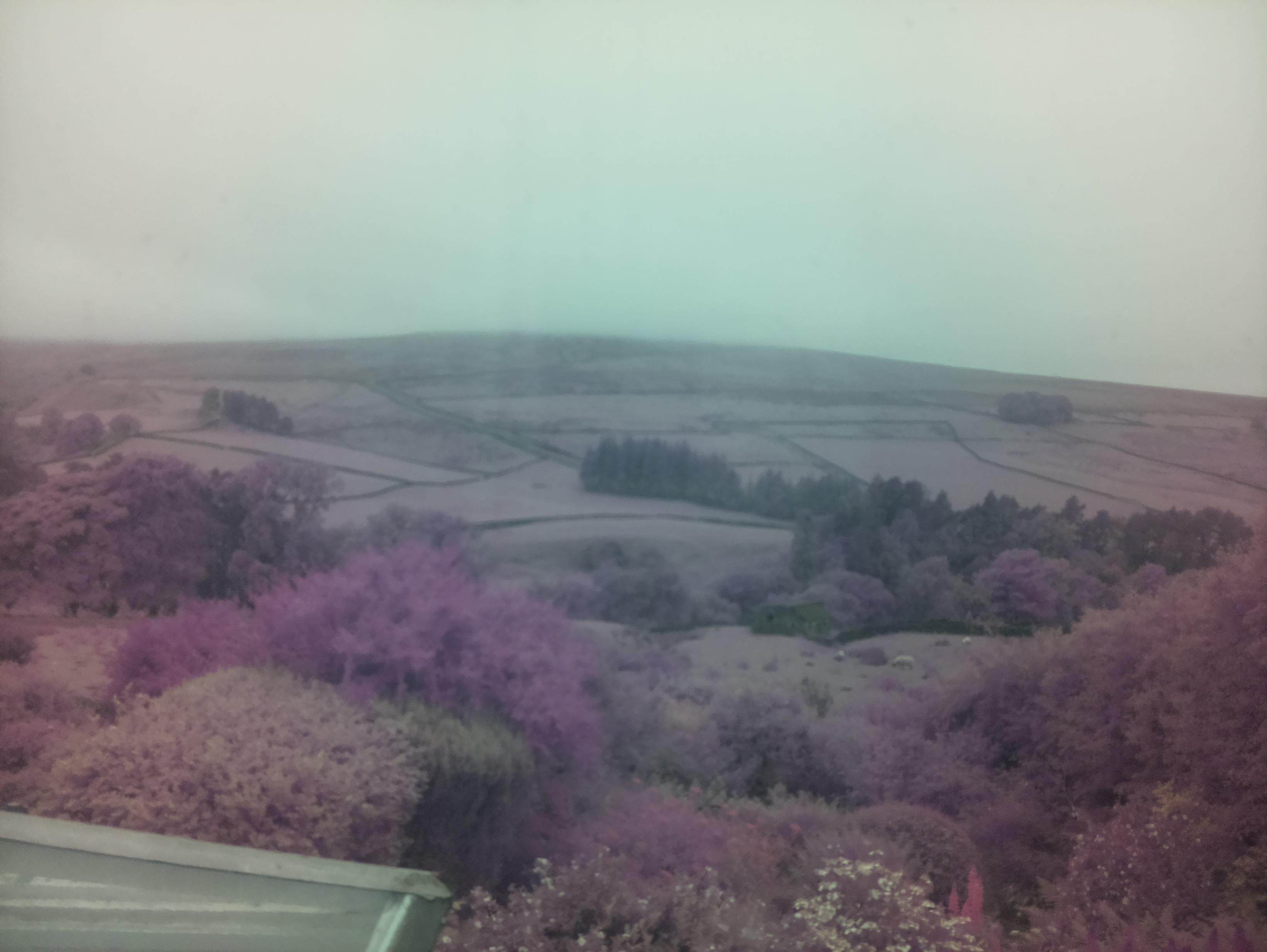 raspi webcam photo