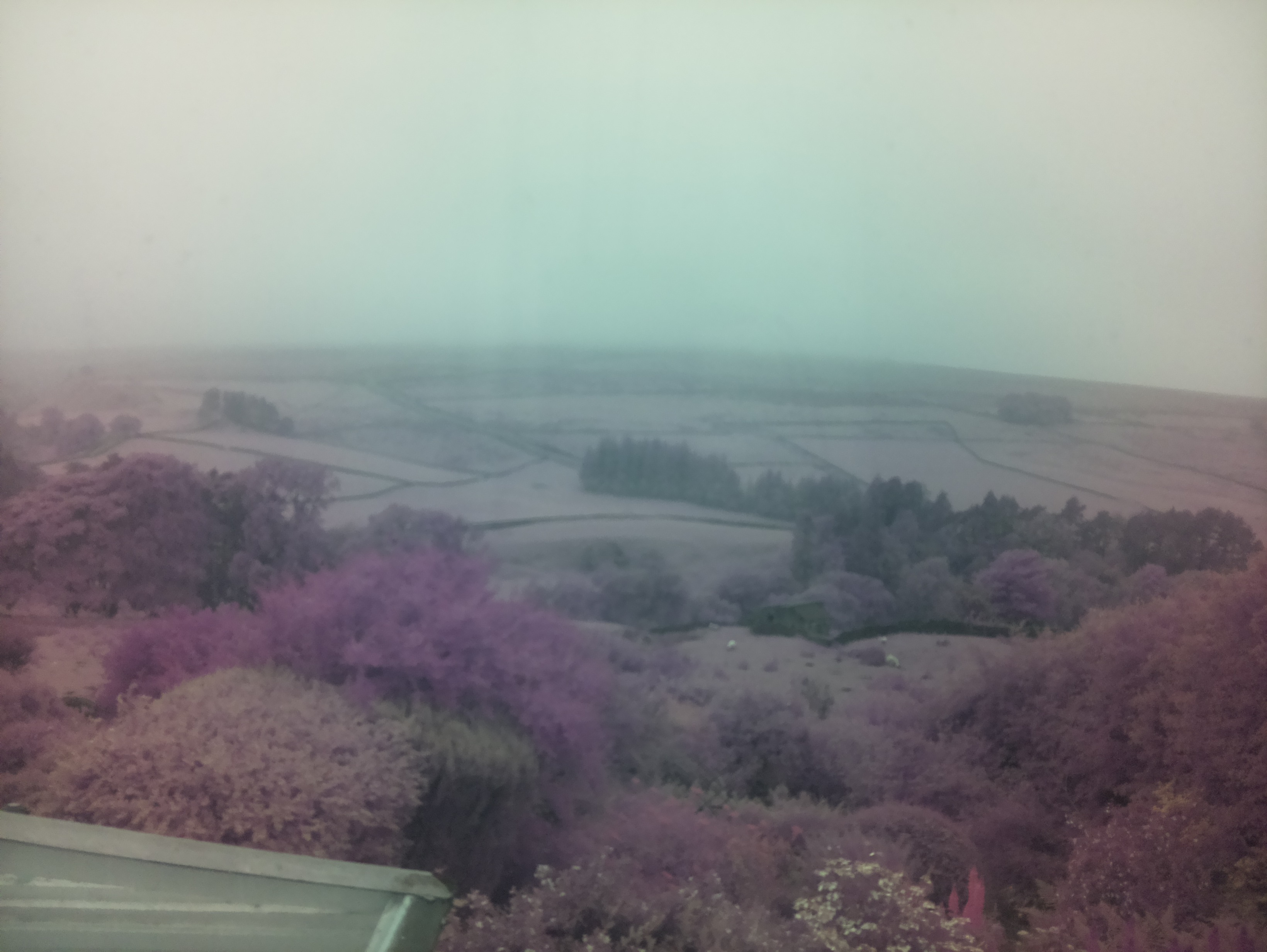 raspi webcam photo