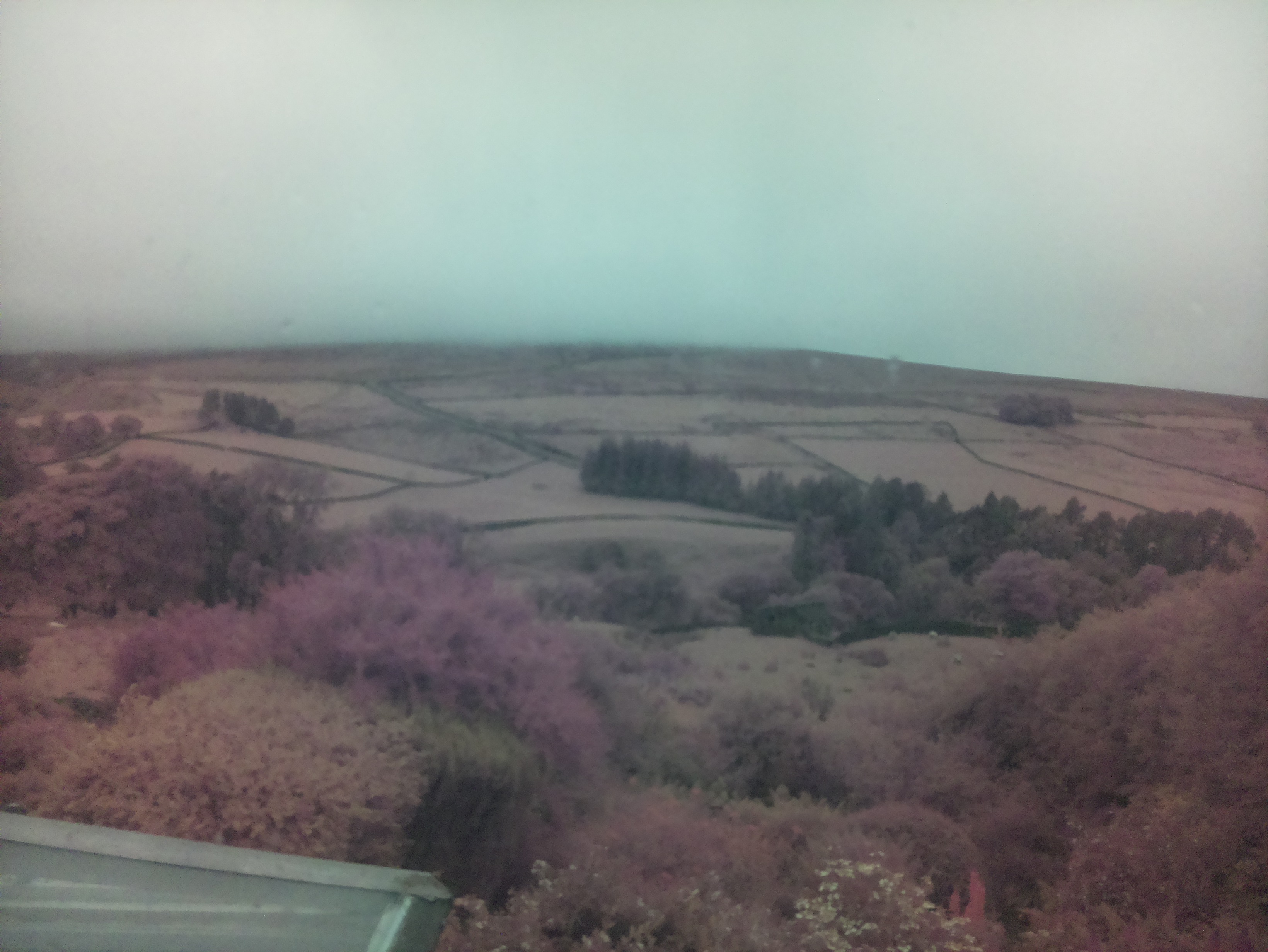 raspi webcam photo