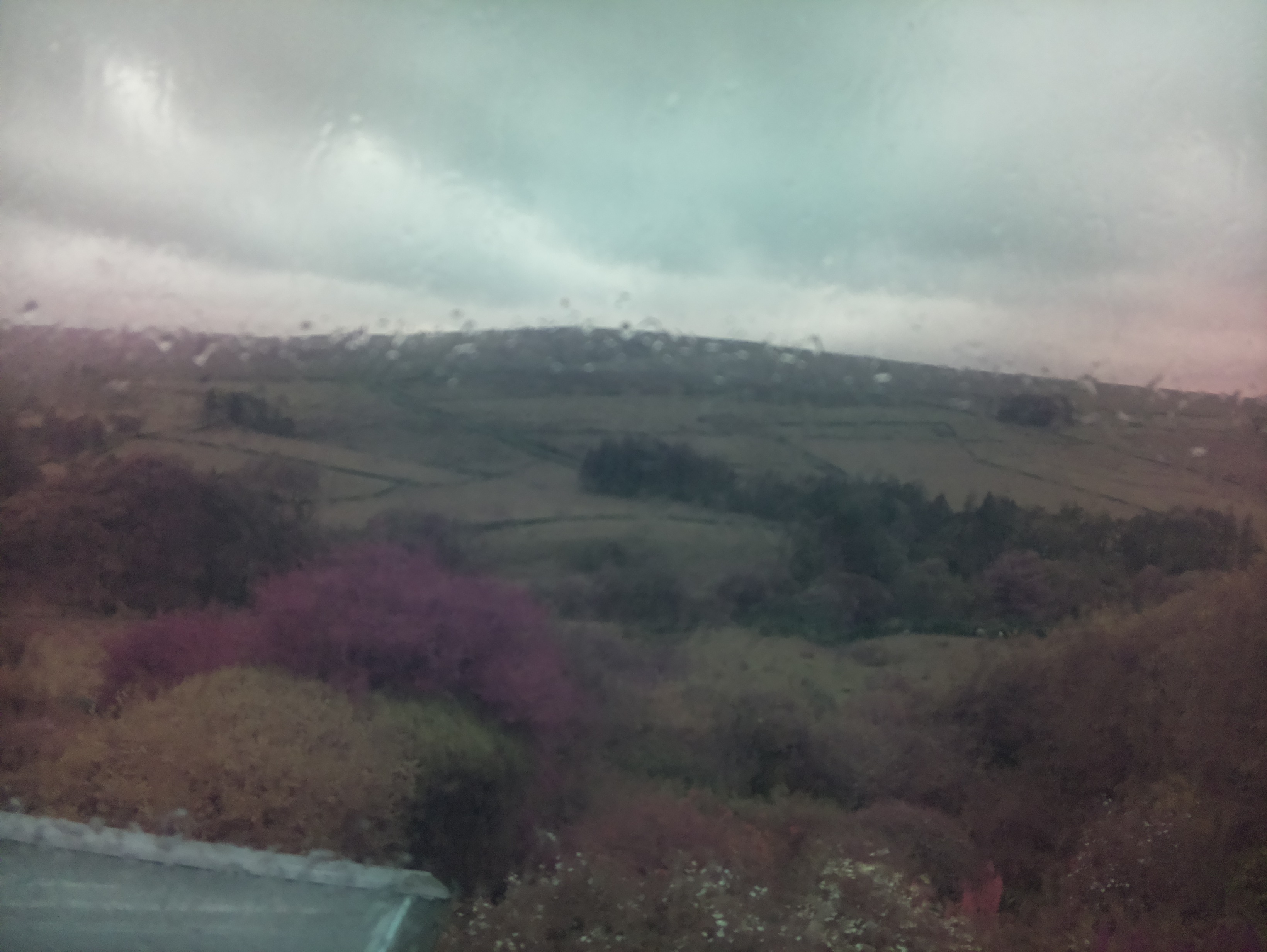 raspi webcam photo