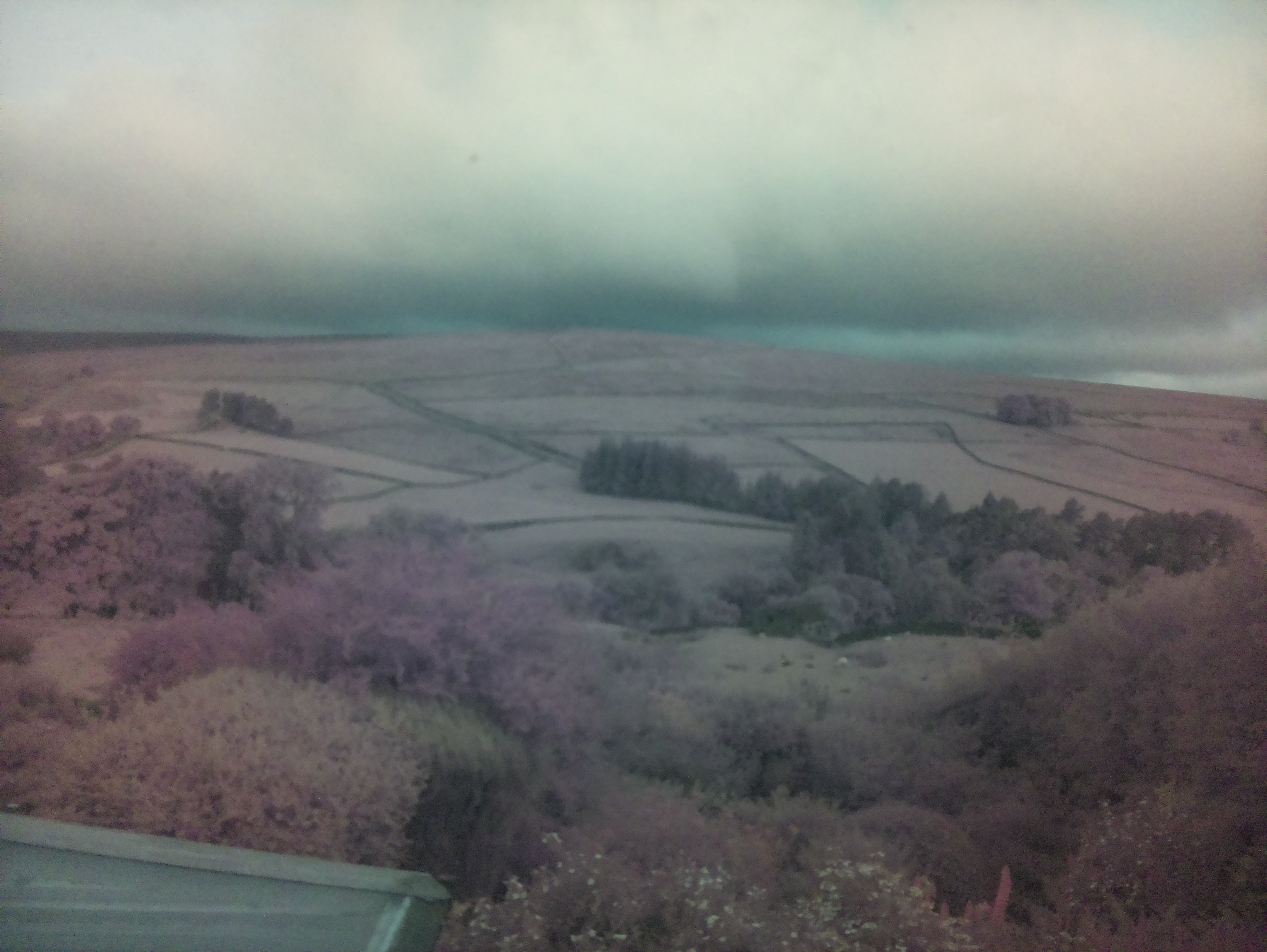 raspi webcam photo
