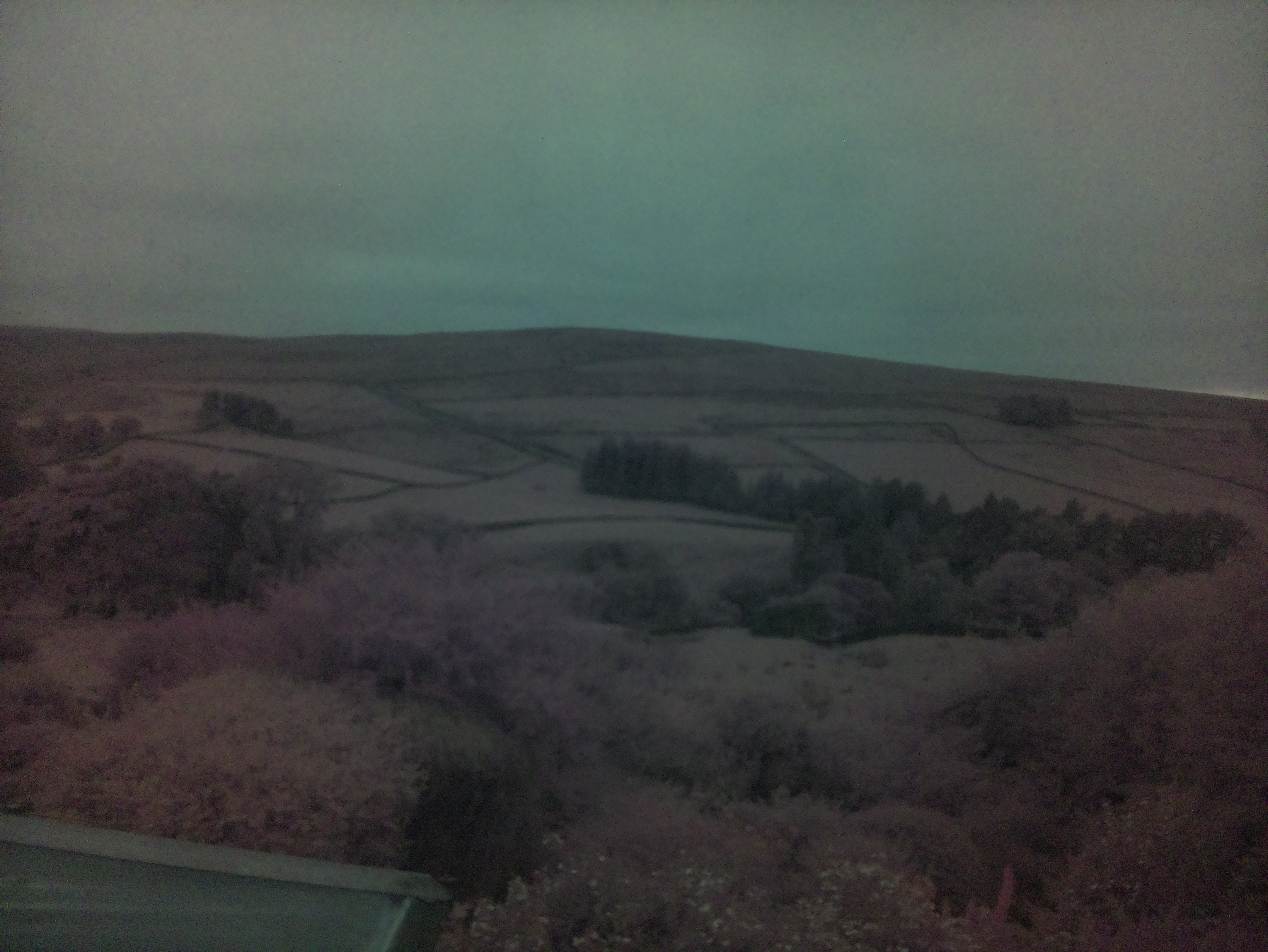 raspi webcam photo