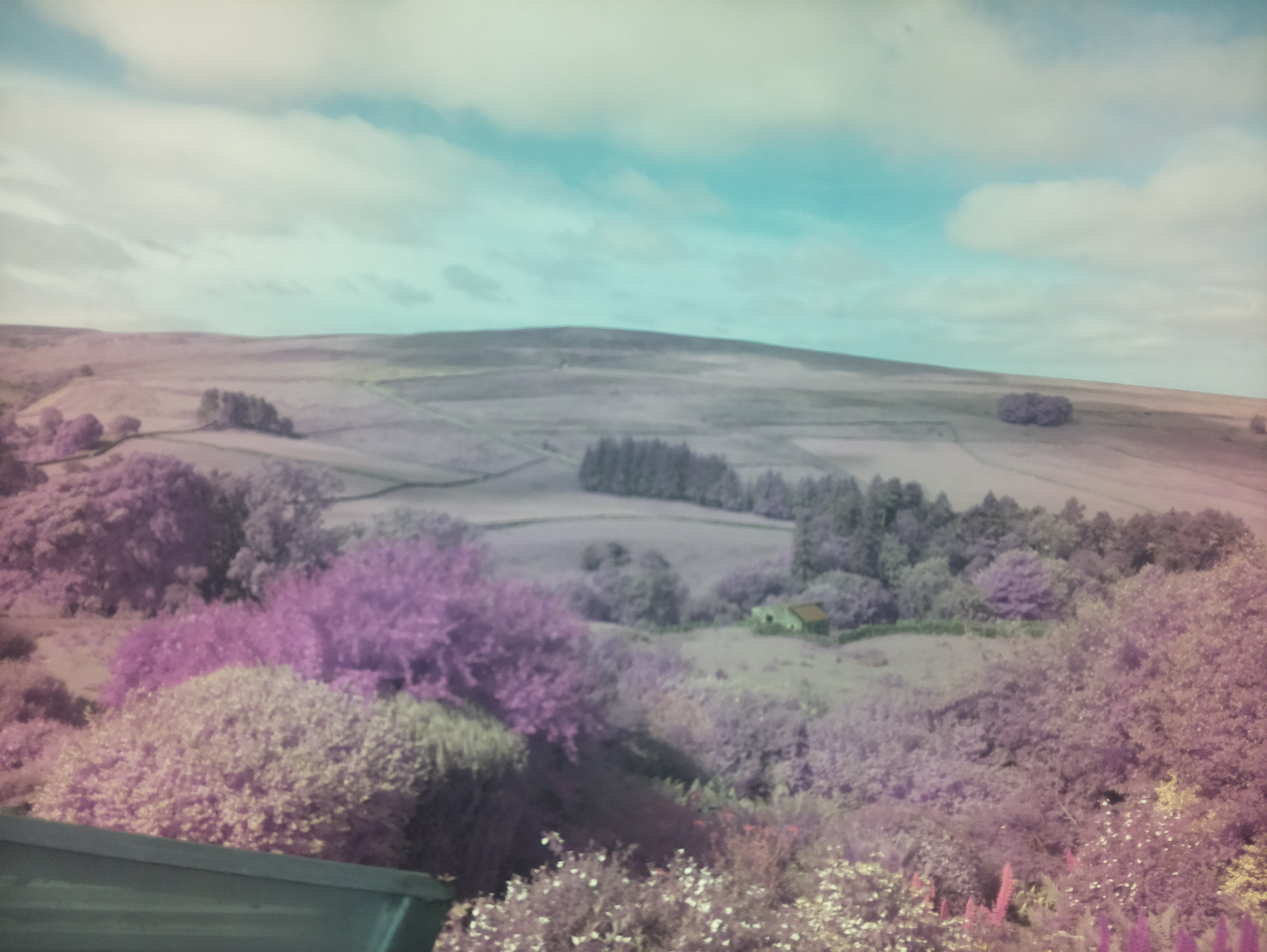 raspi webcam photo