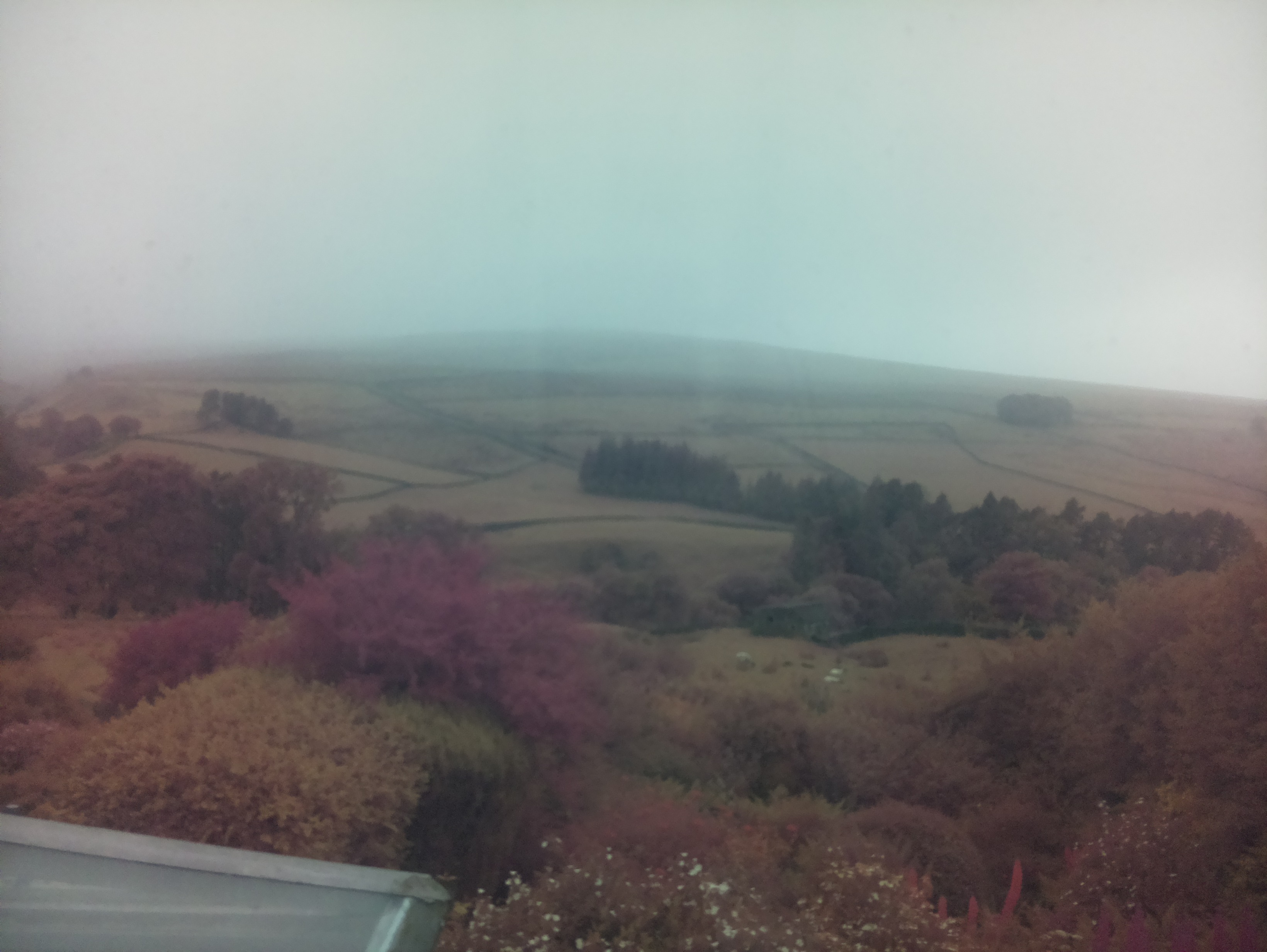 raspi webcam photo
