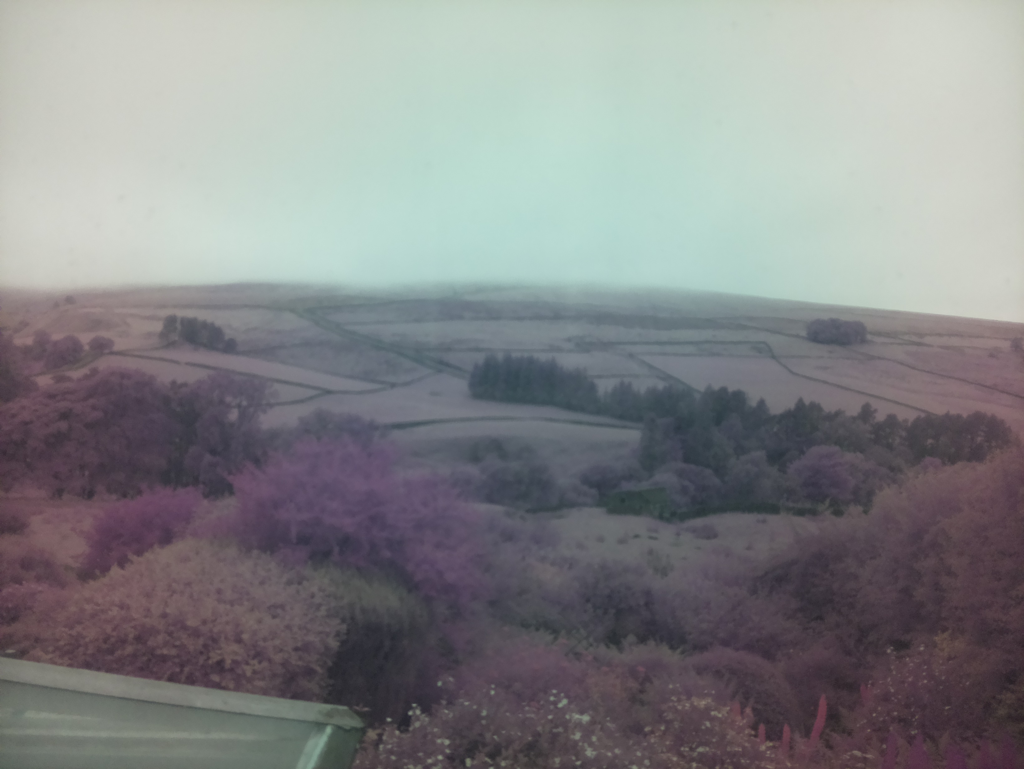 raspi webcam photo
