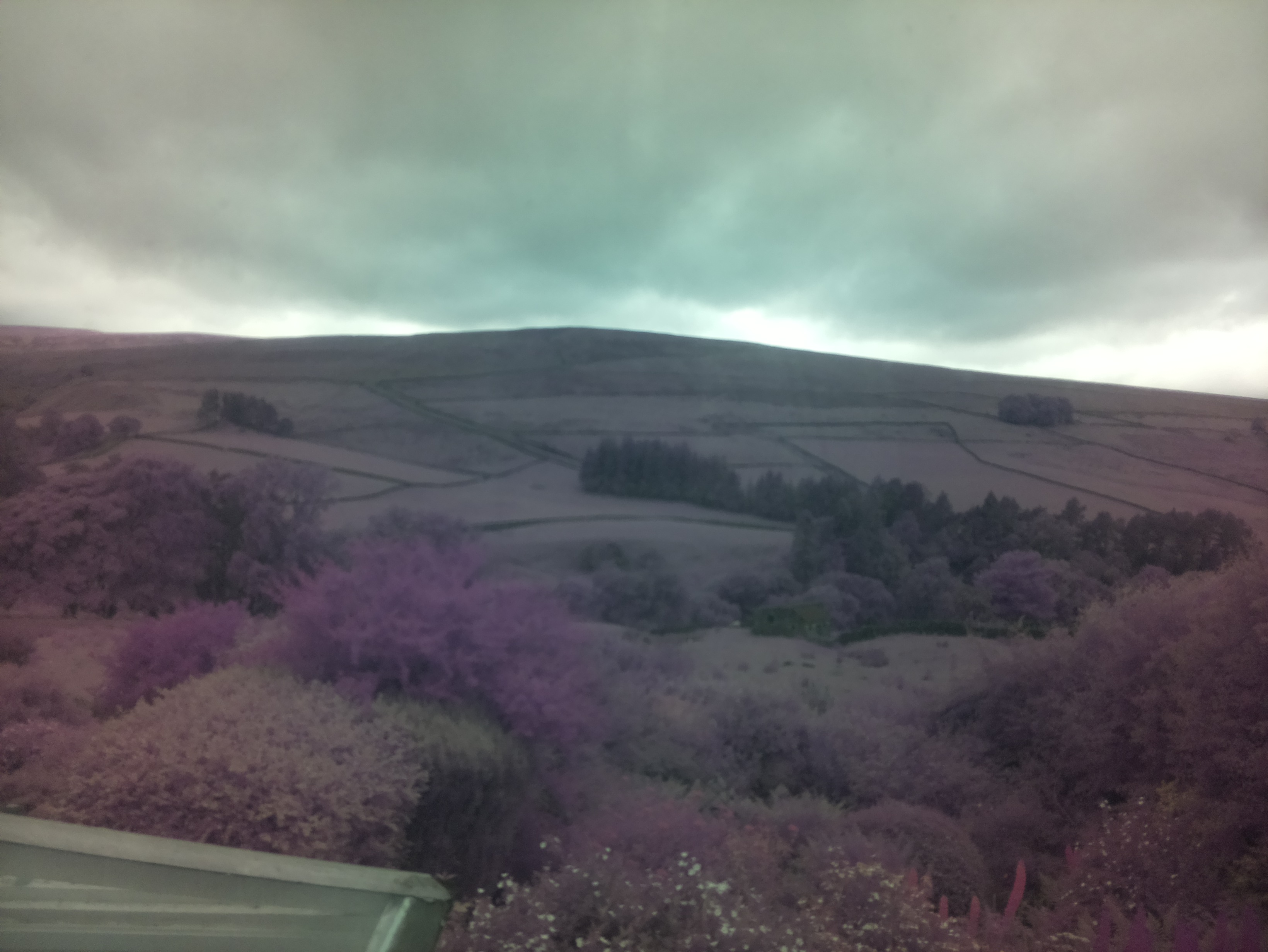 raspi webcam photo
