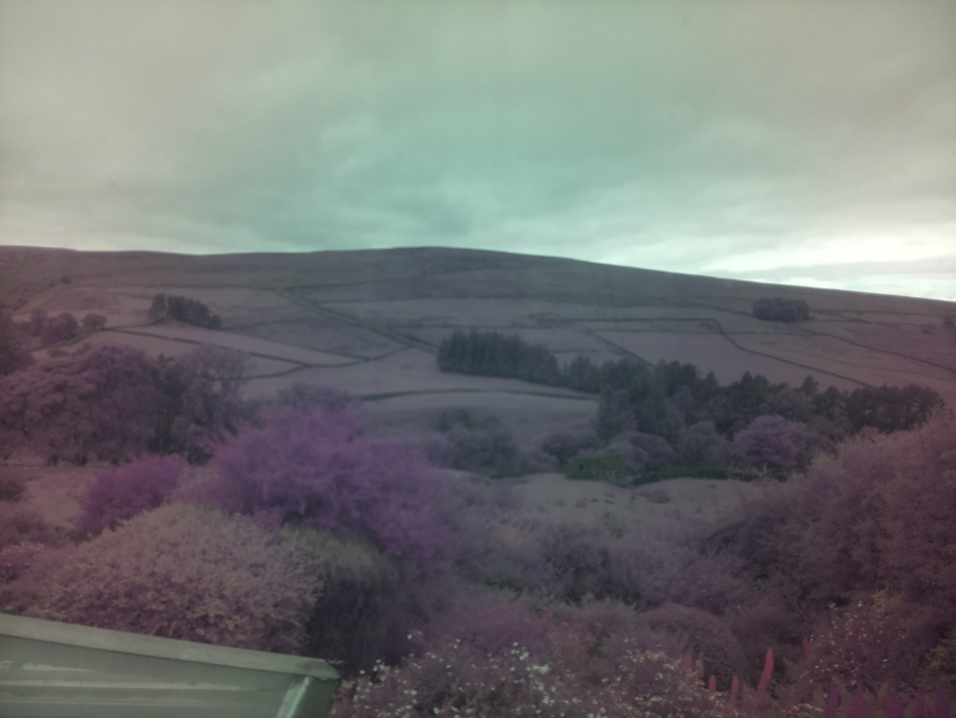 raspi webcam photo