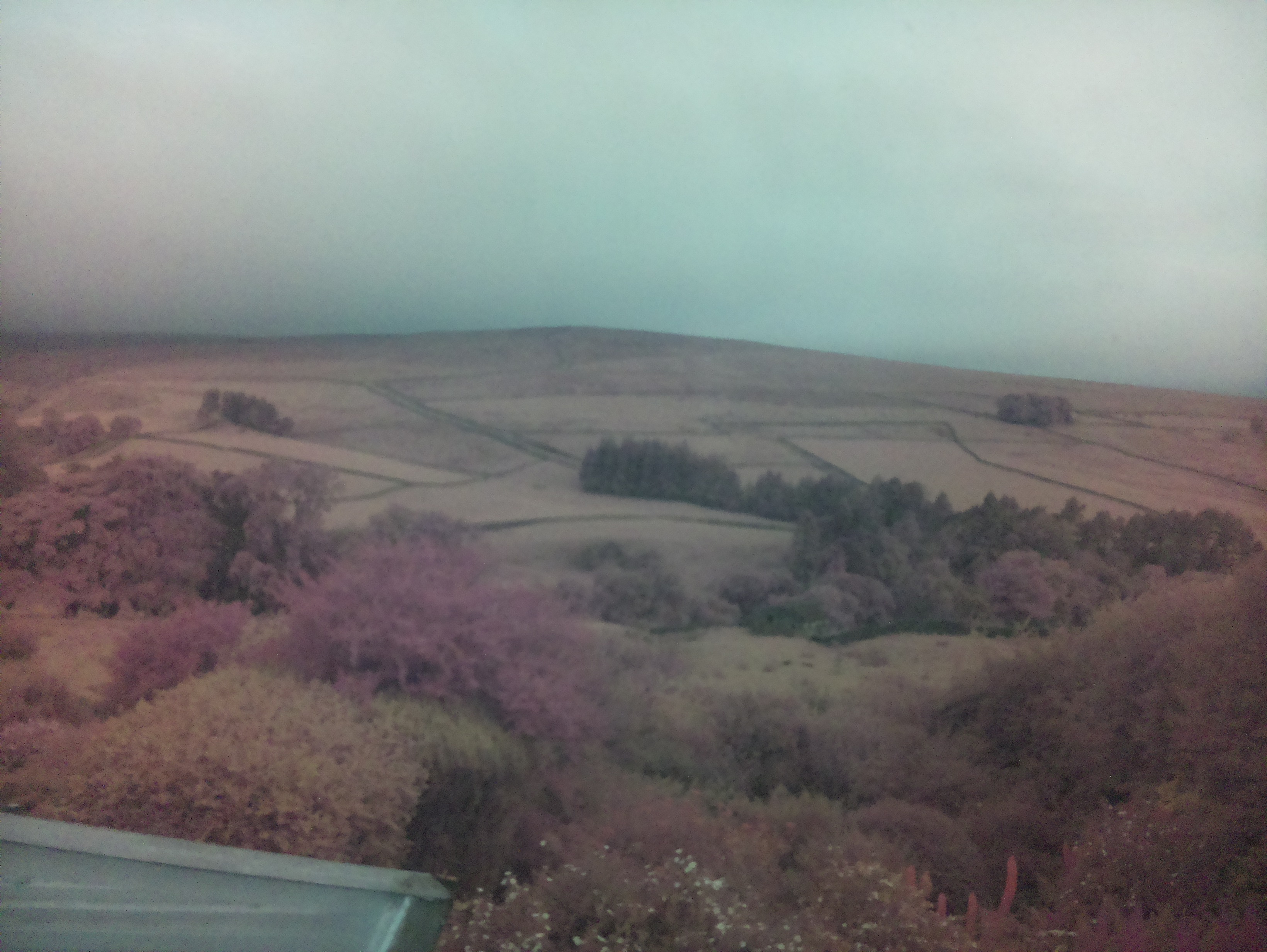raspi webcam photo