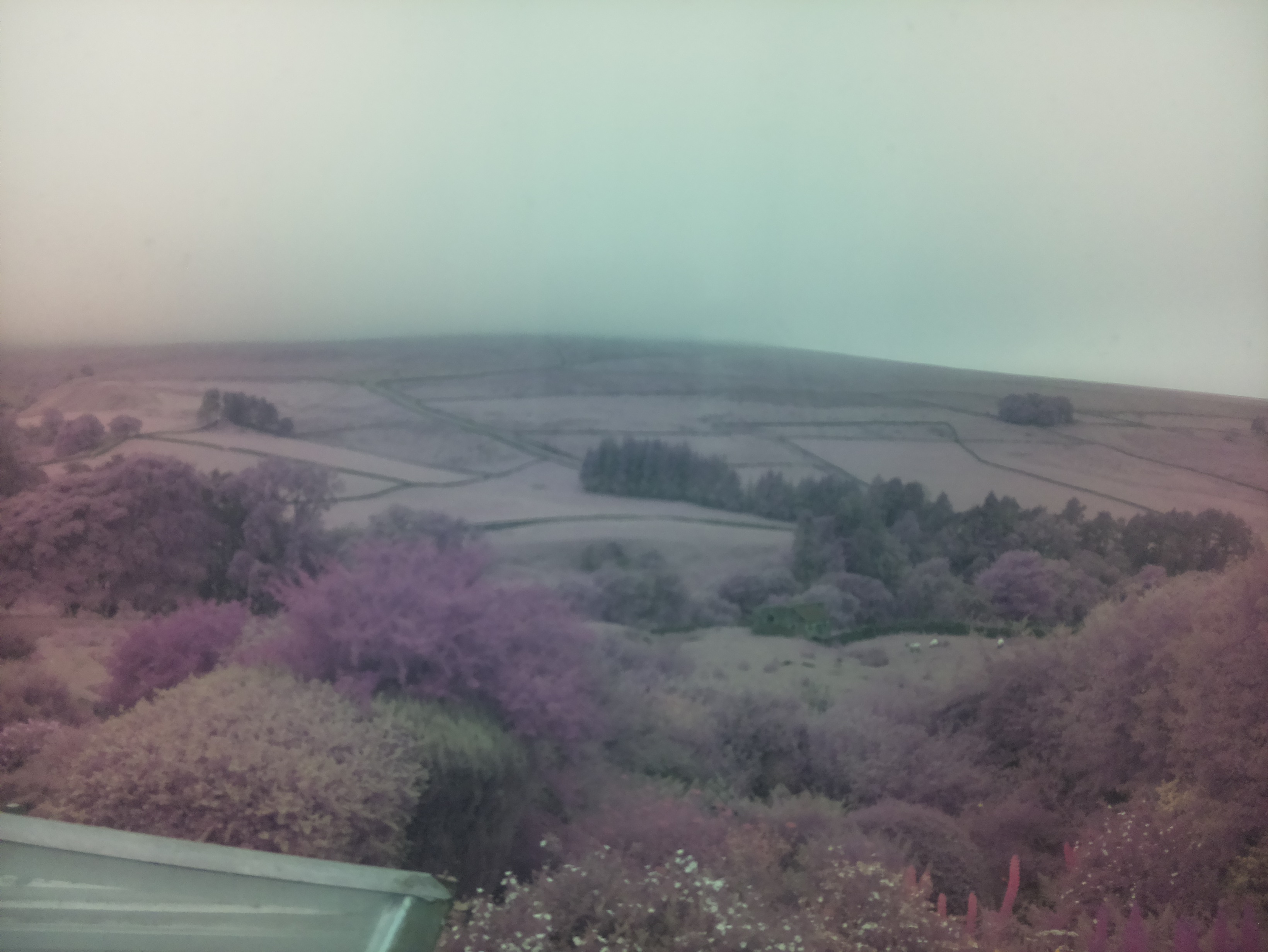 raspi webcam photo