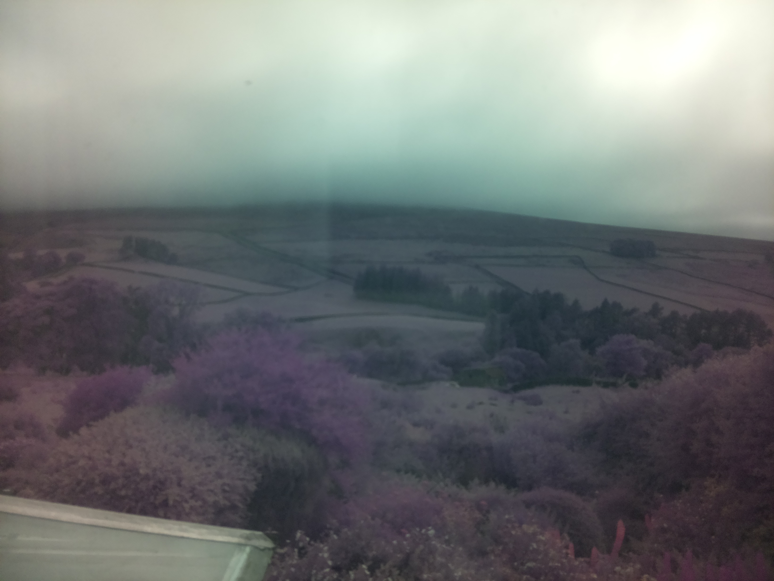 raspi webcam photo