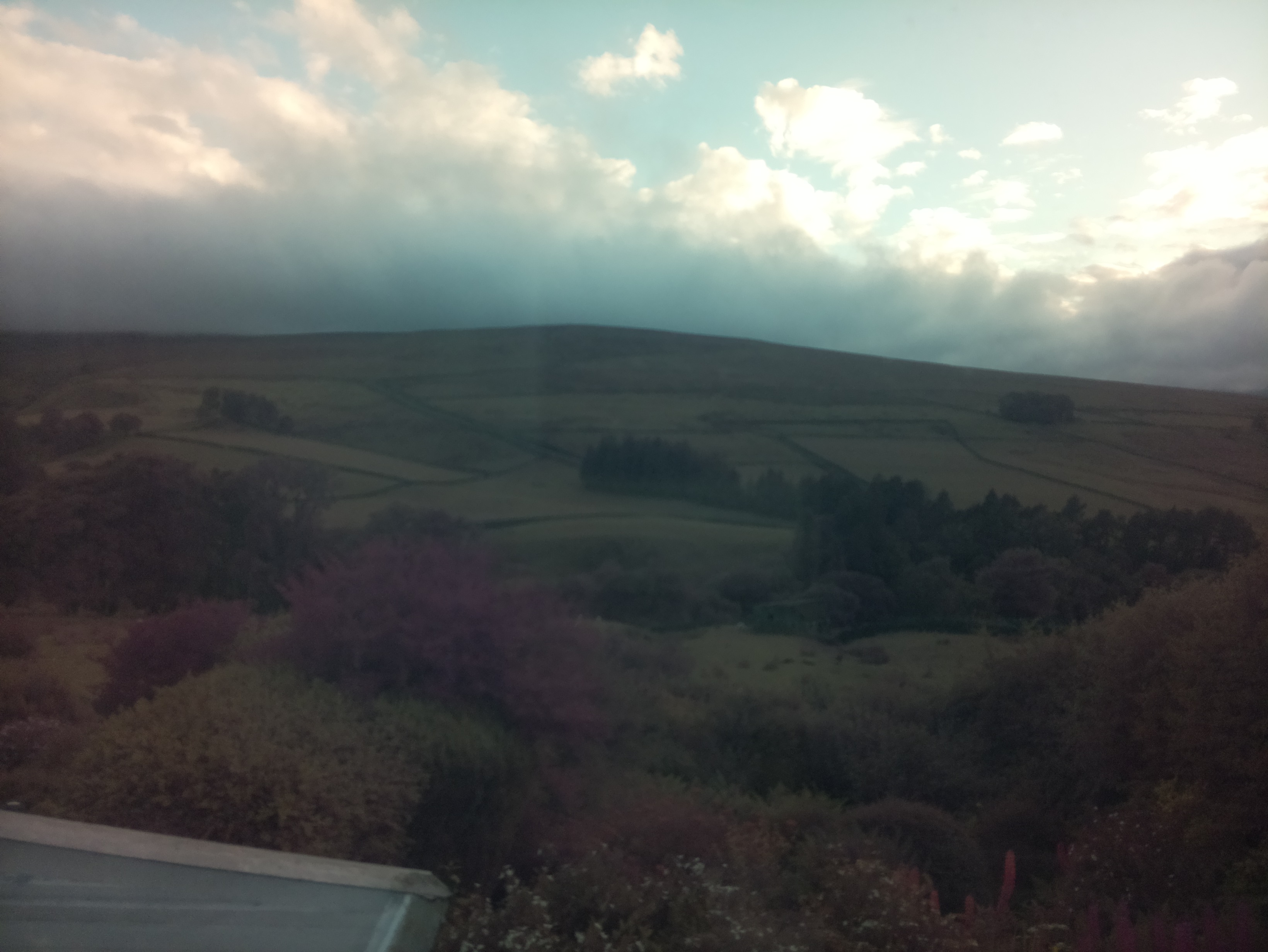 raspi webcam photo