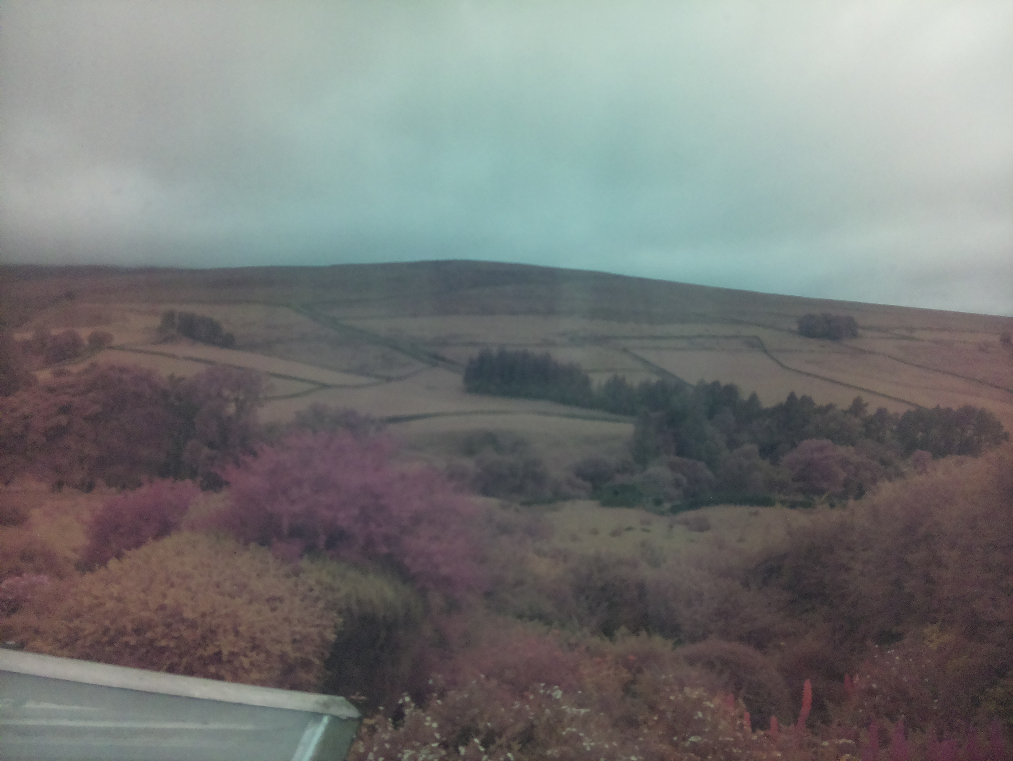 raspi webcam photo