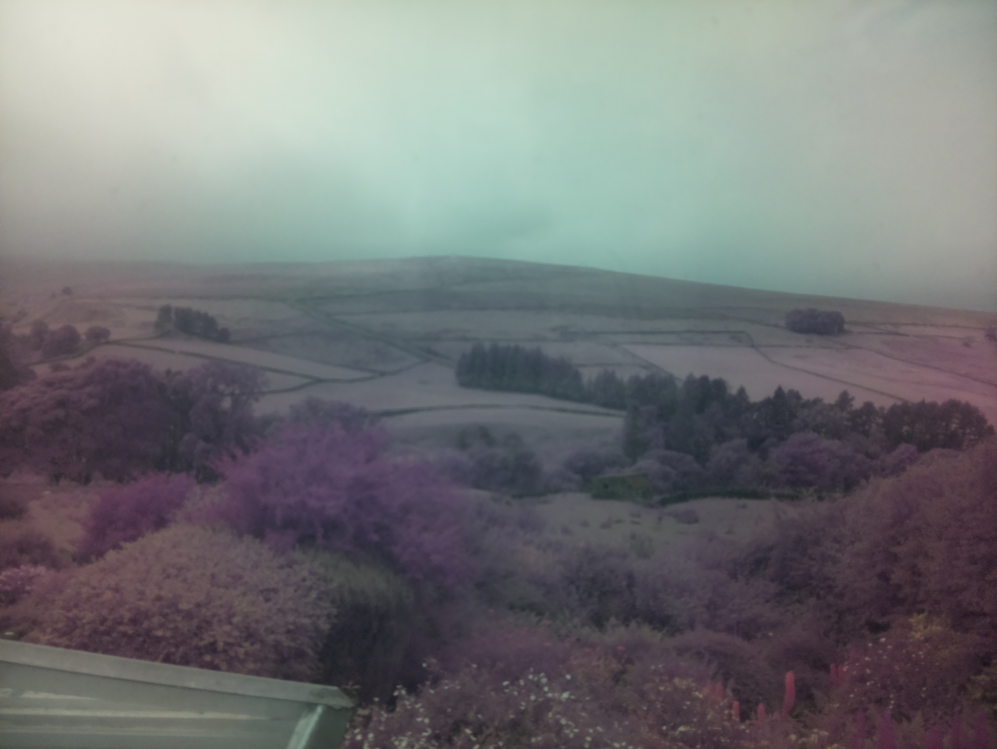 raspi webcam photo