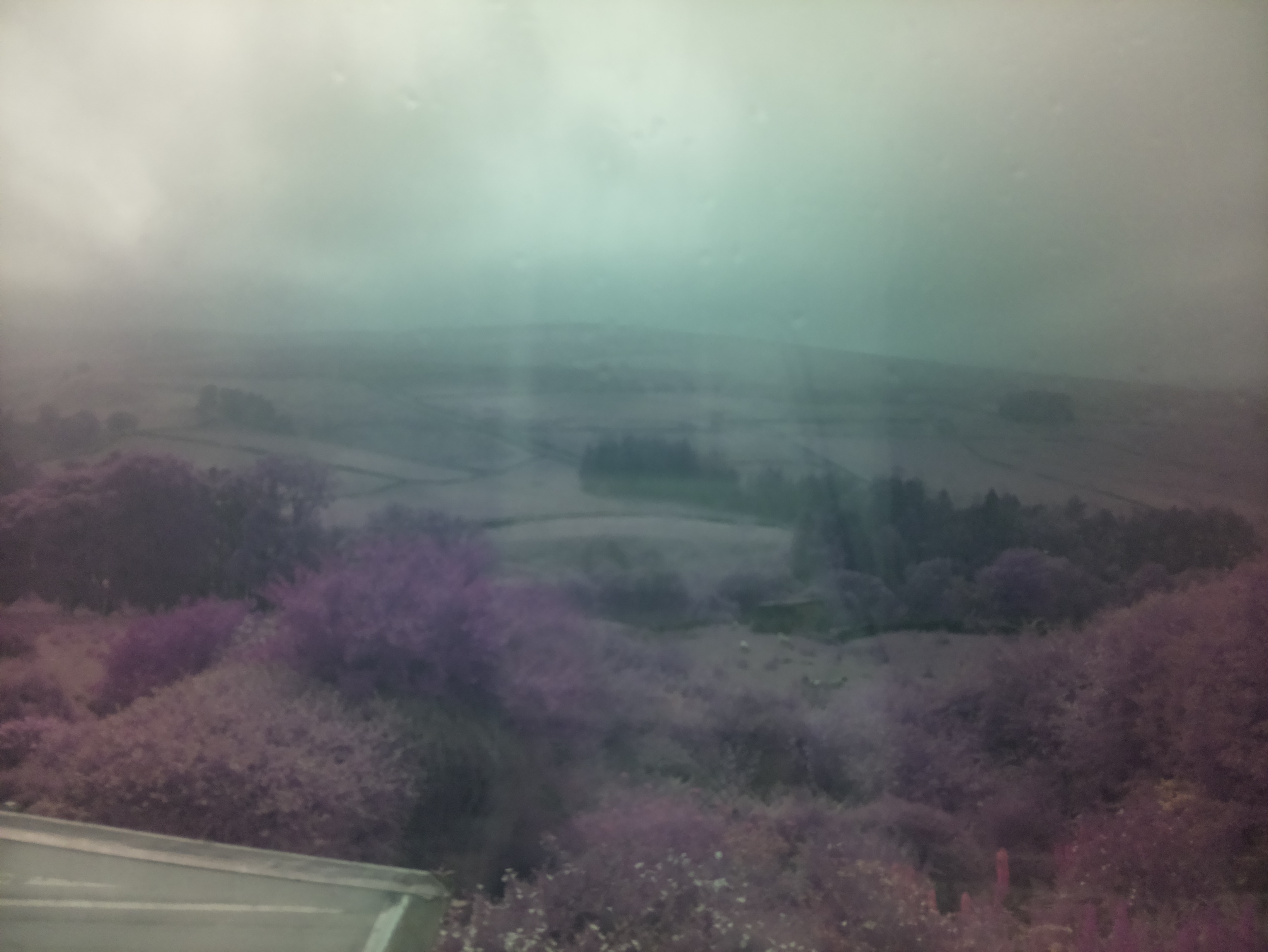 raspi webcam photo