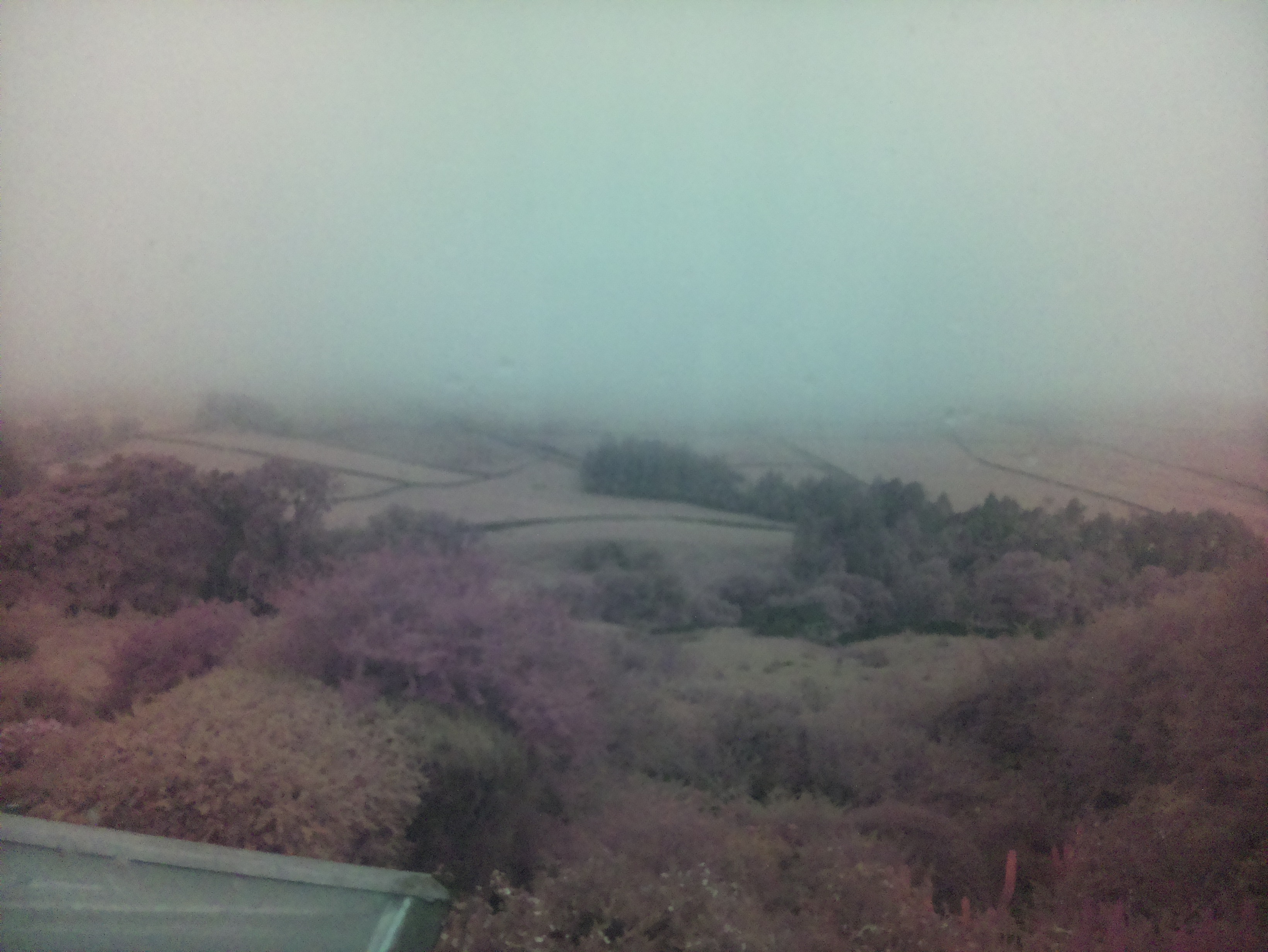 raspi webcam photo