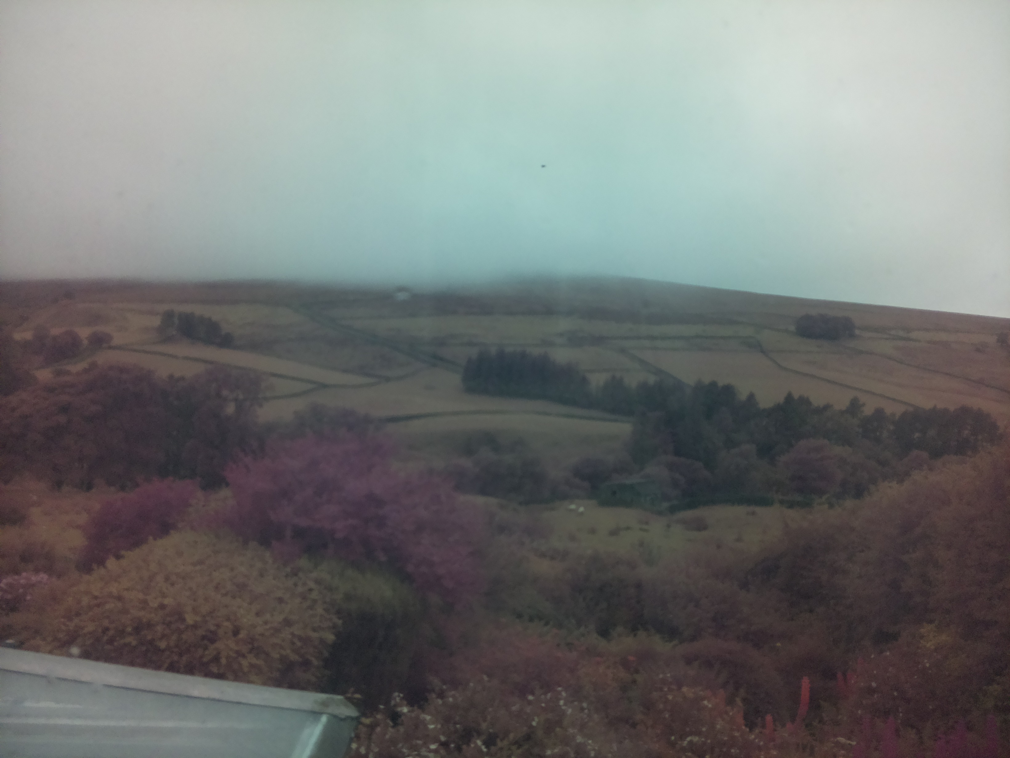 raspi webcam photo
