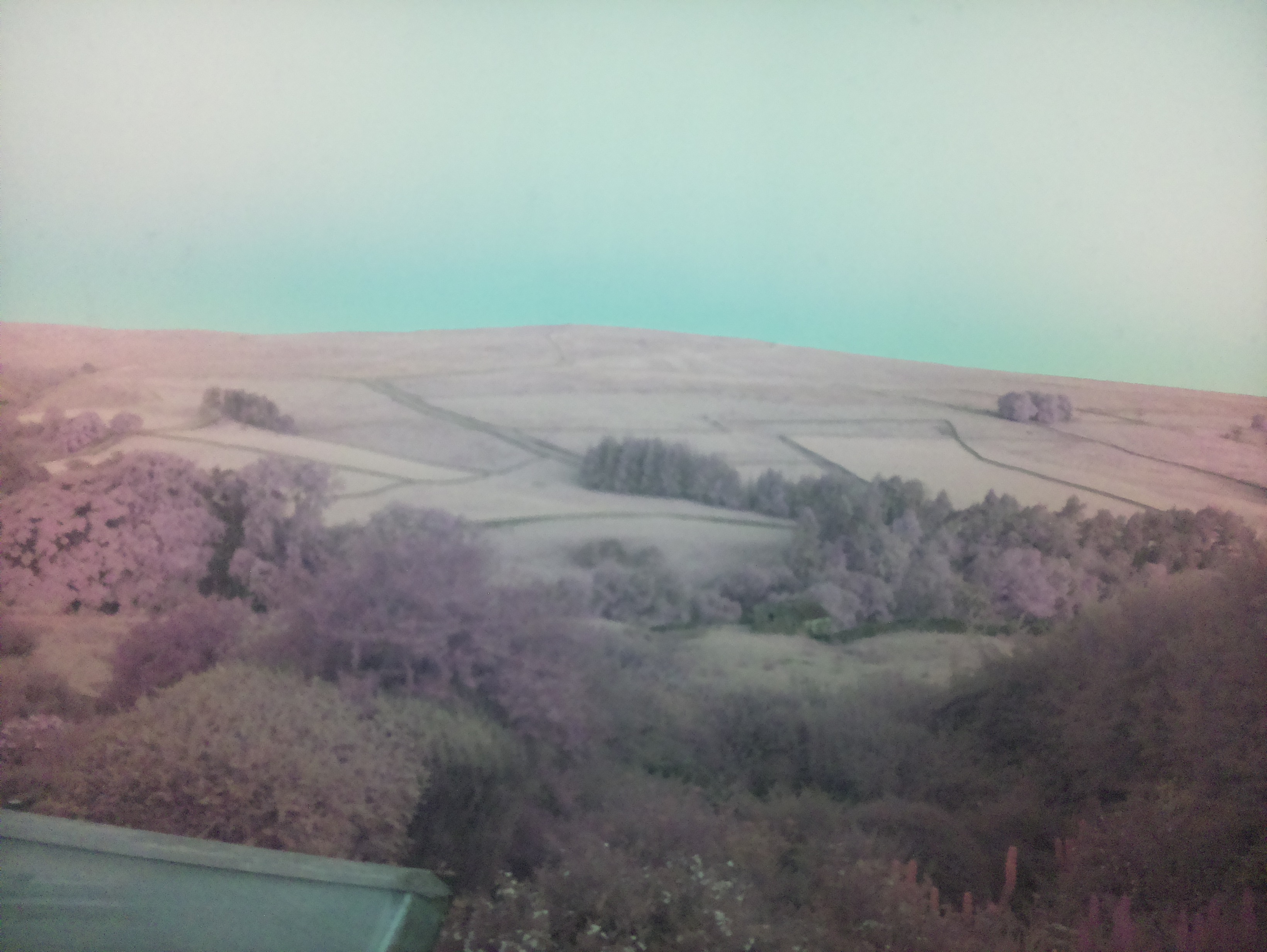 raspi webcam photo