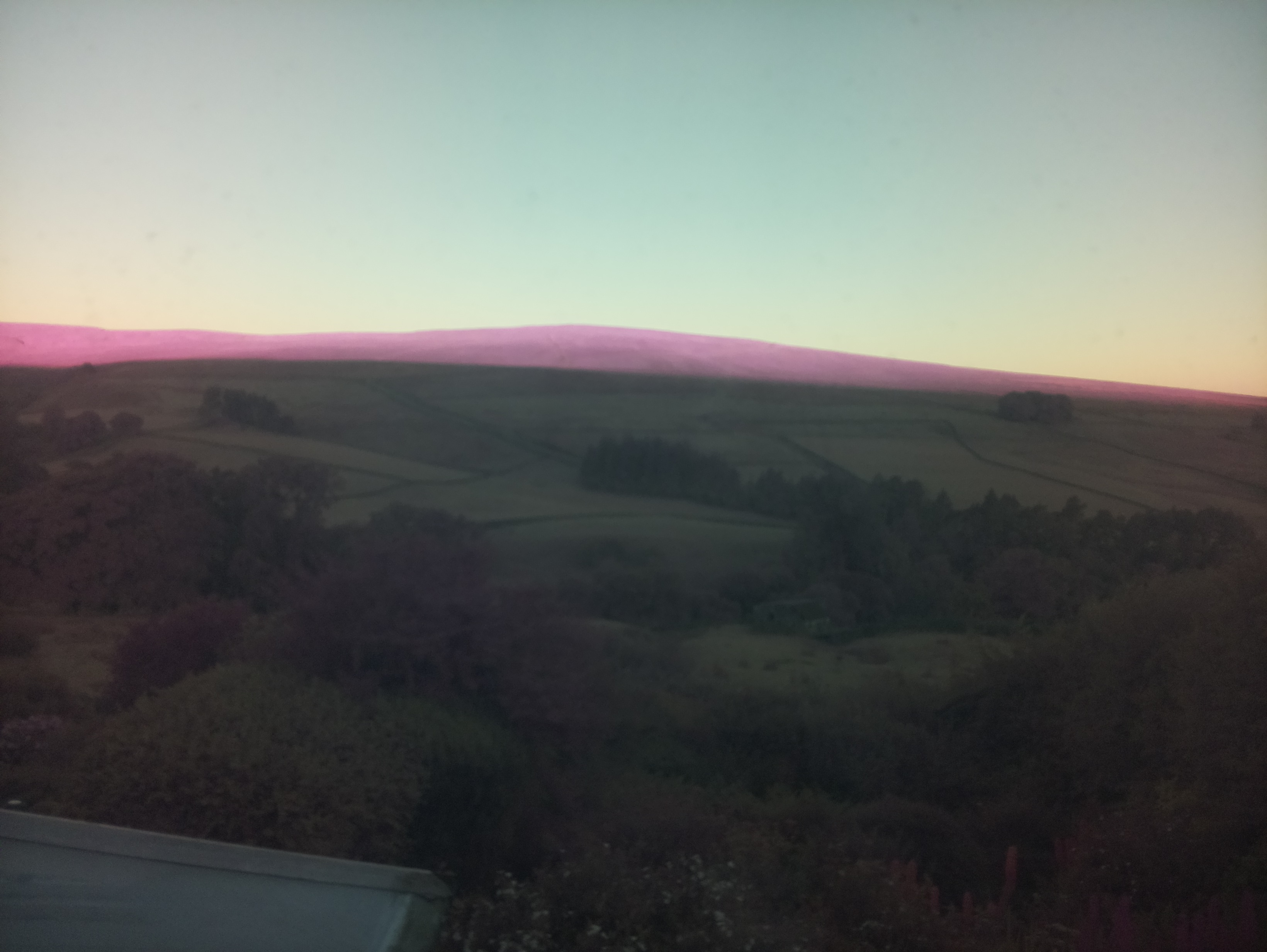 raspi webcam photo