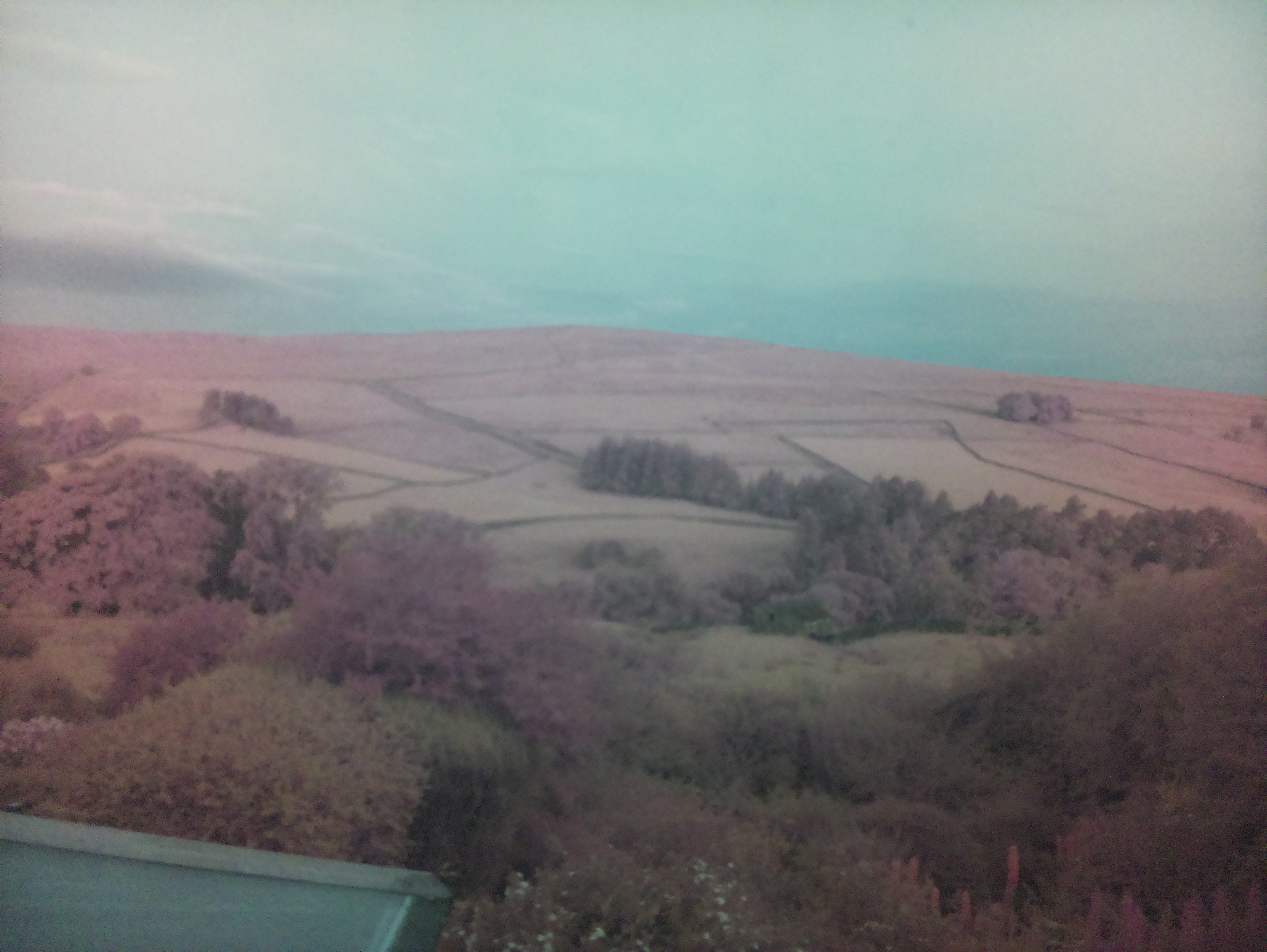 raspi webcam photo