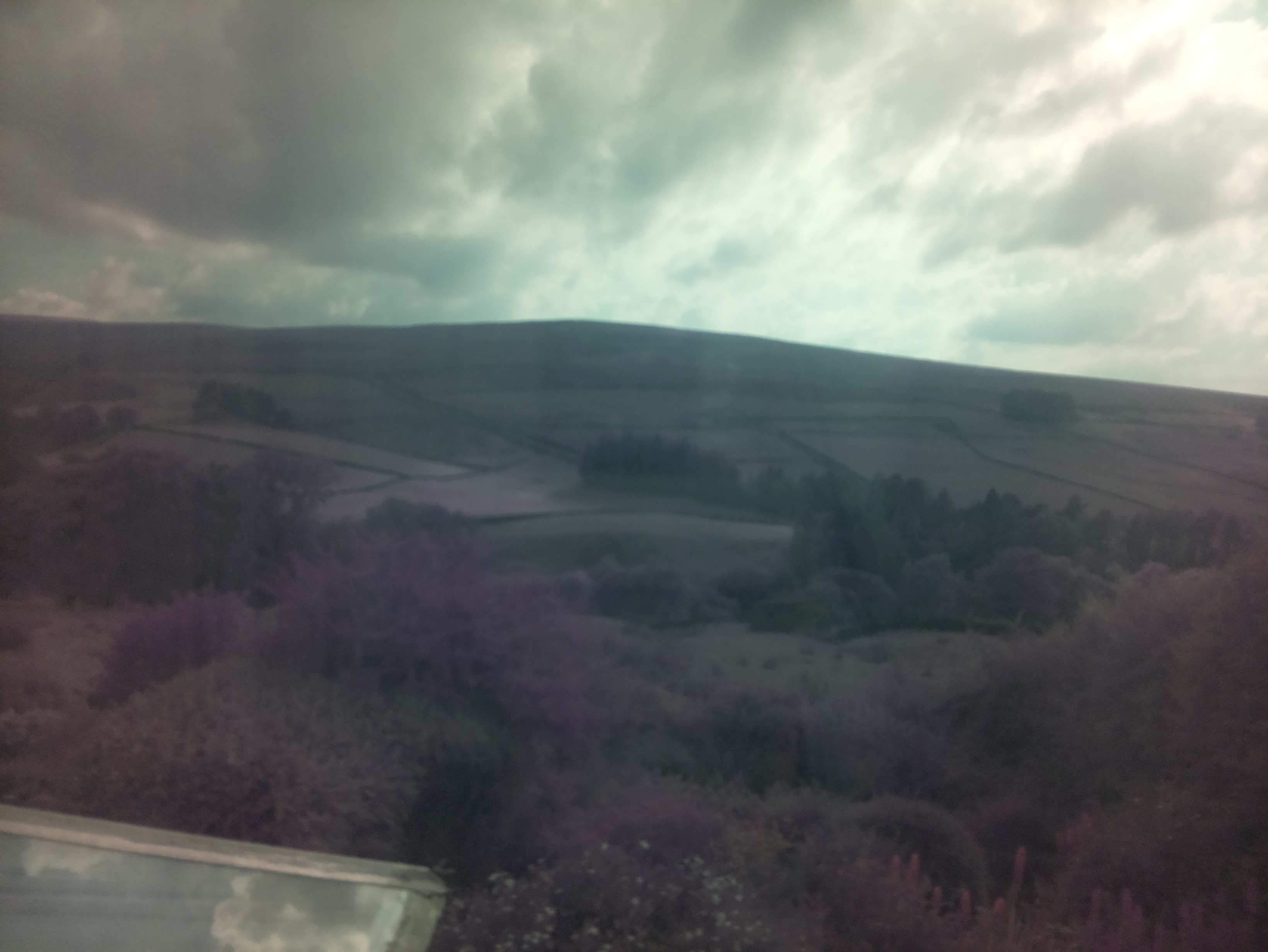 raspi webcam photo