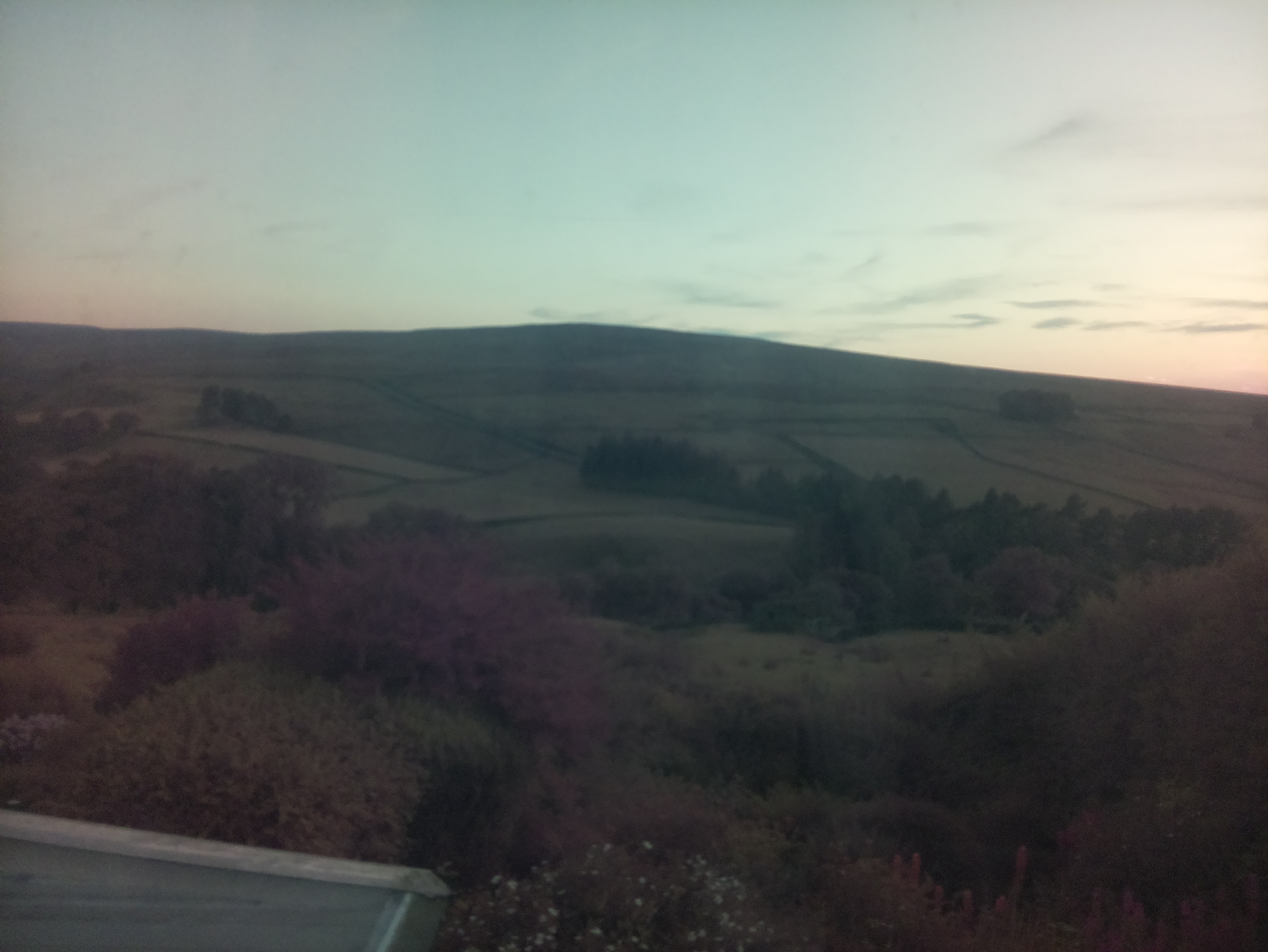raspi webcam photo