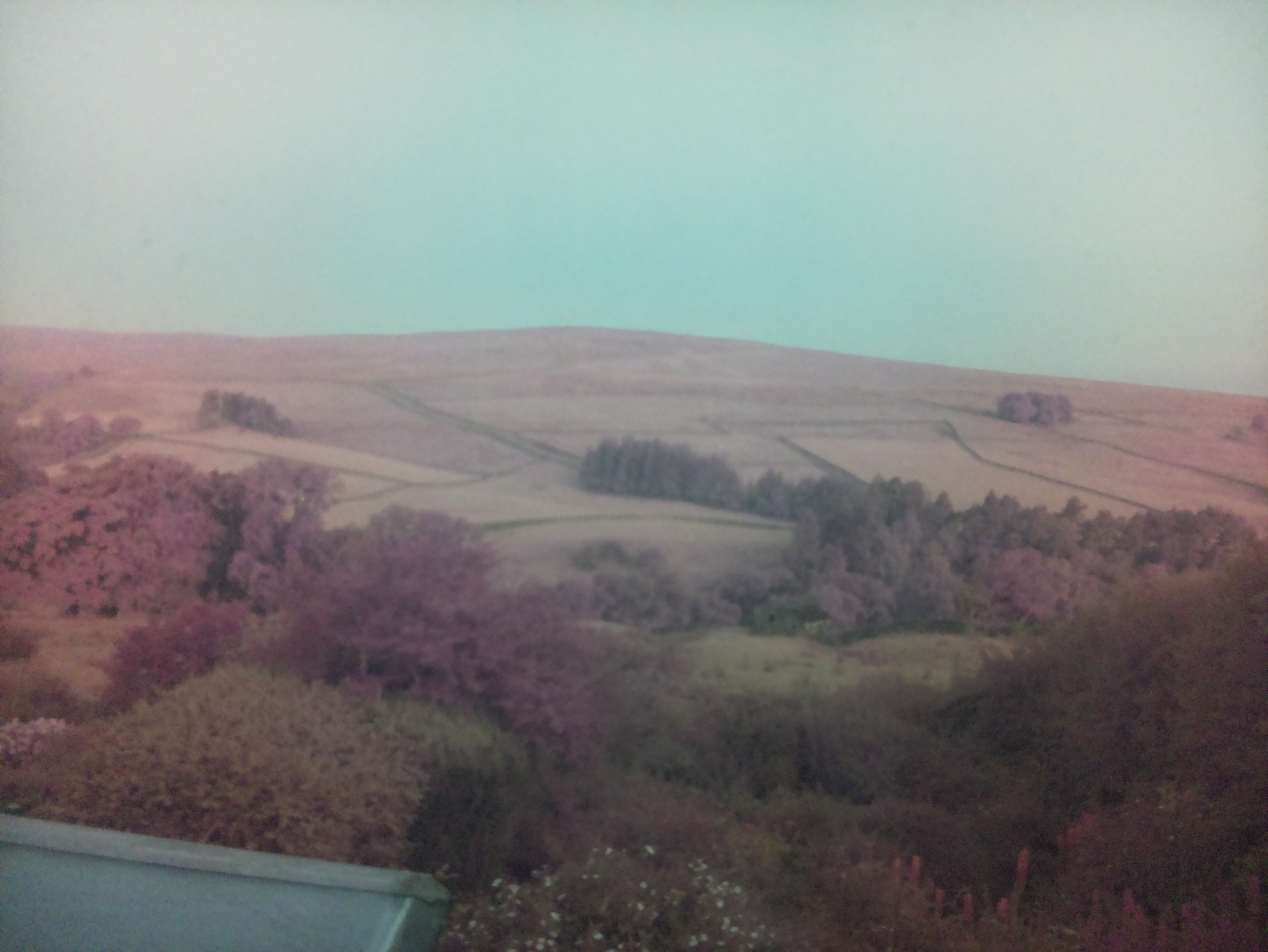 raspi webcam photo