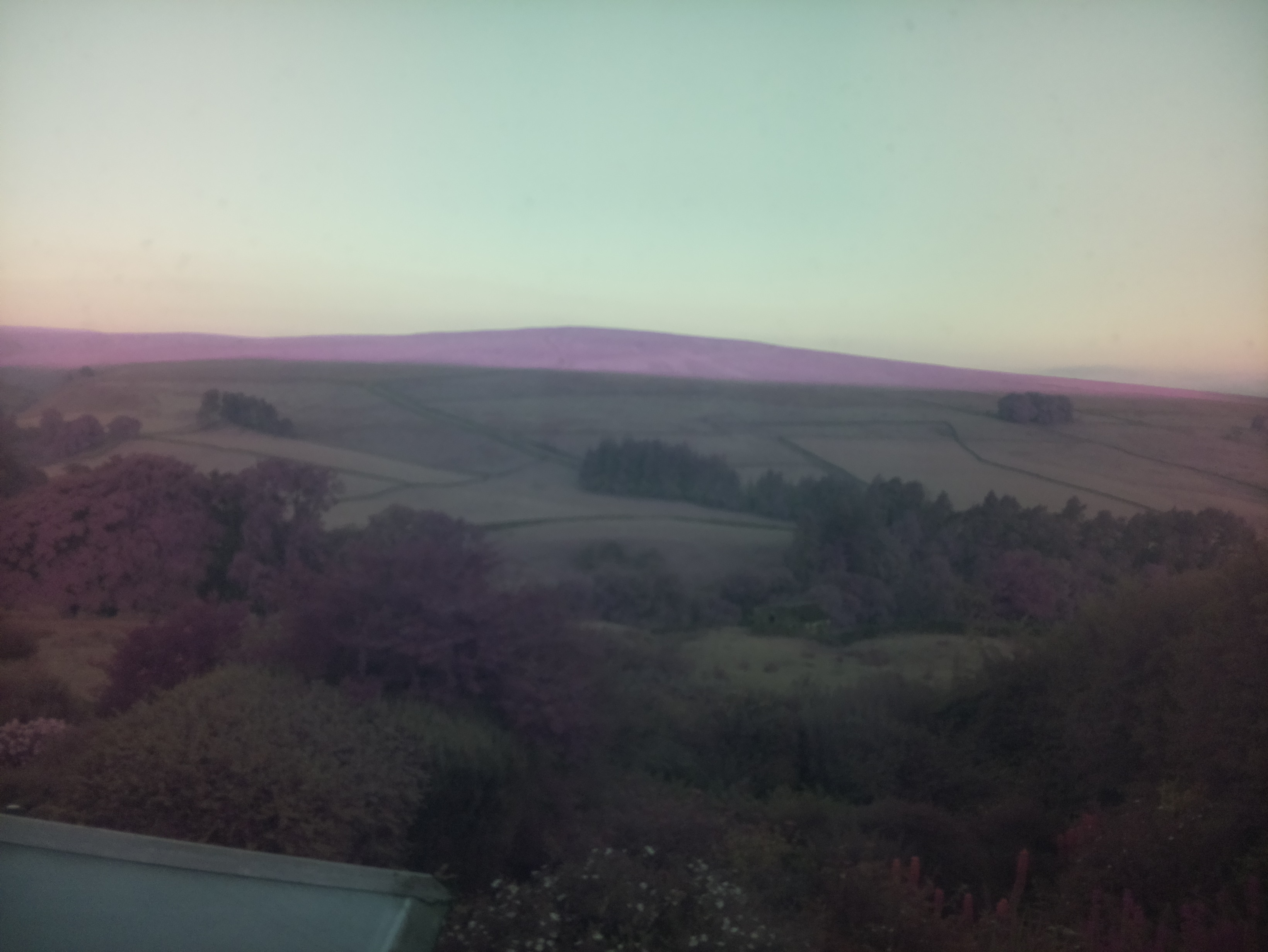 raspi webcam photo