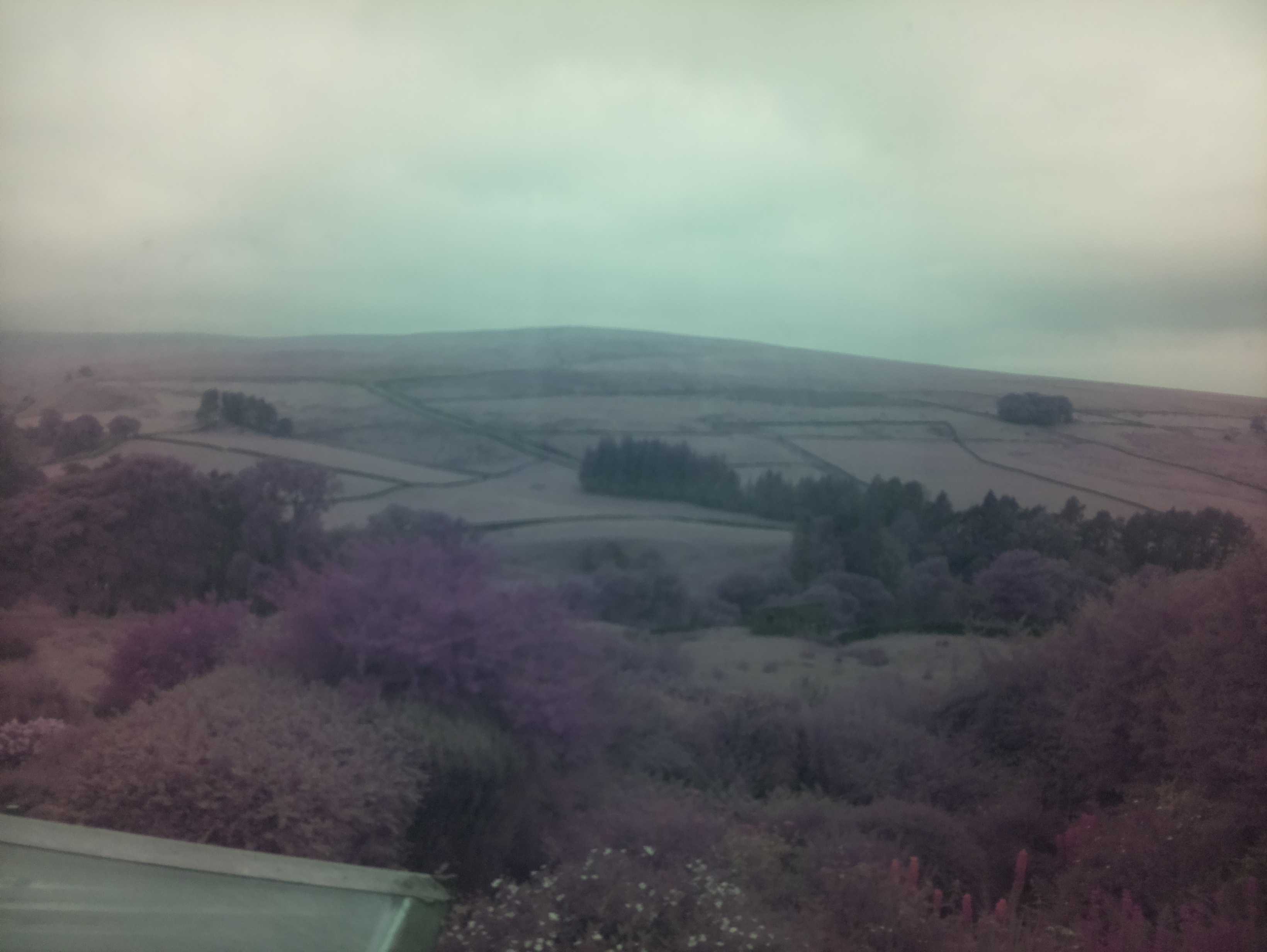 raspi webcam photo