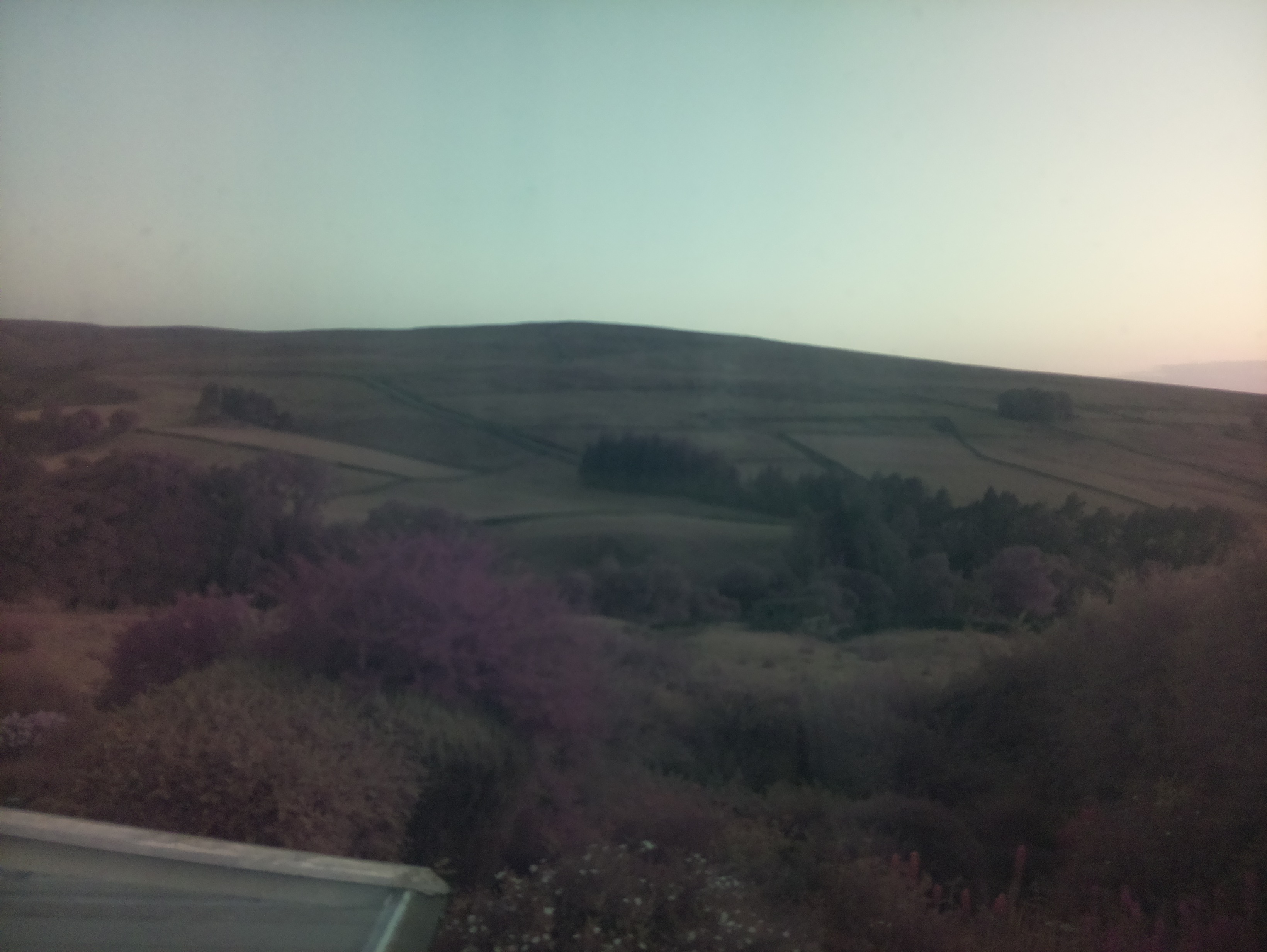 raspi webcam photo