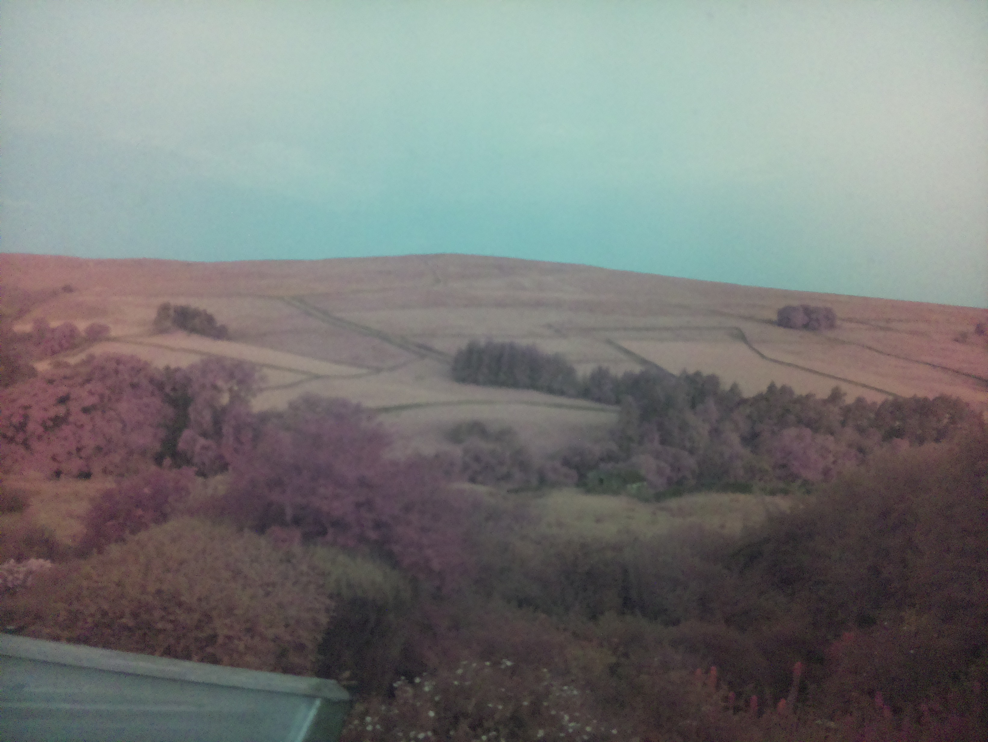 raspi webcam photo