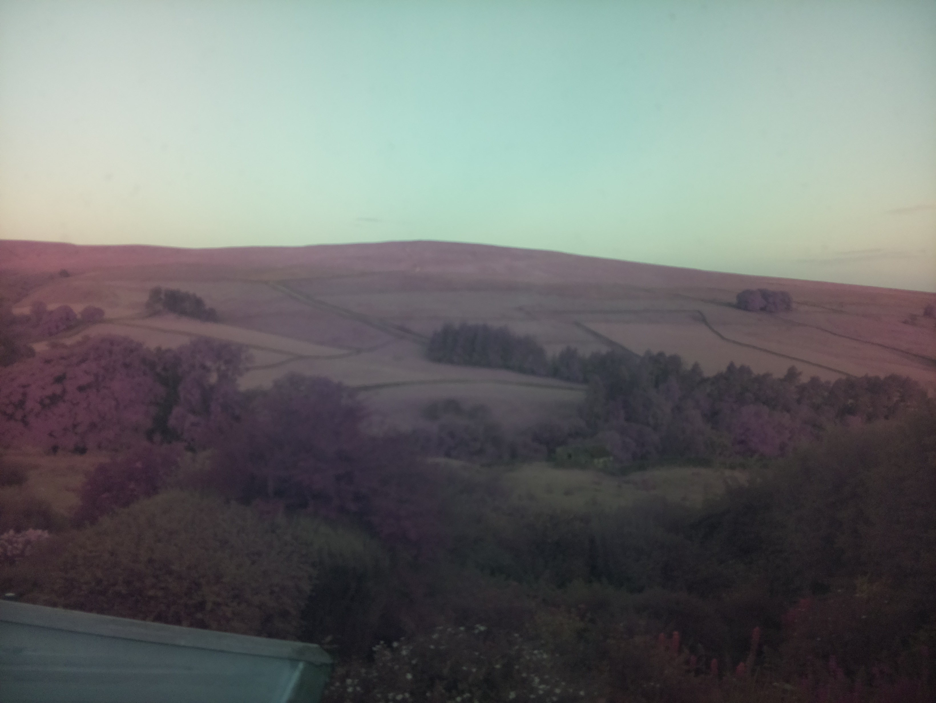 raspi webcam photo
