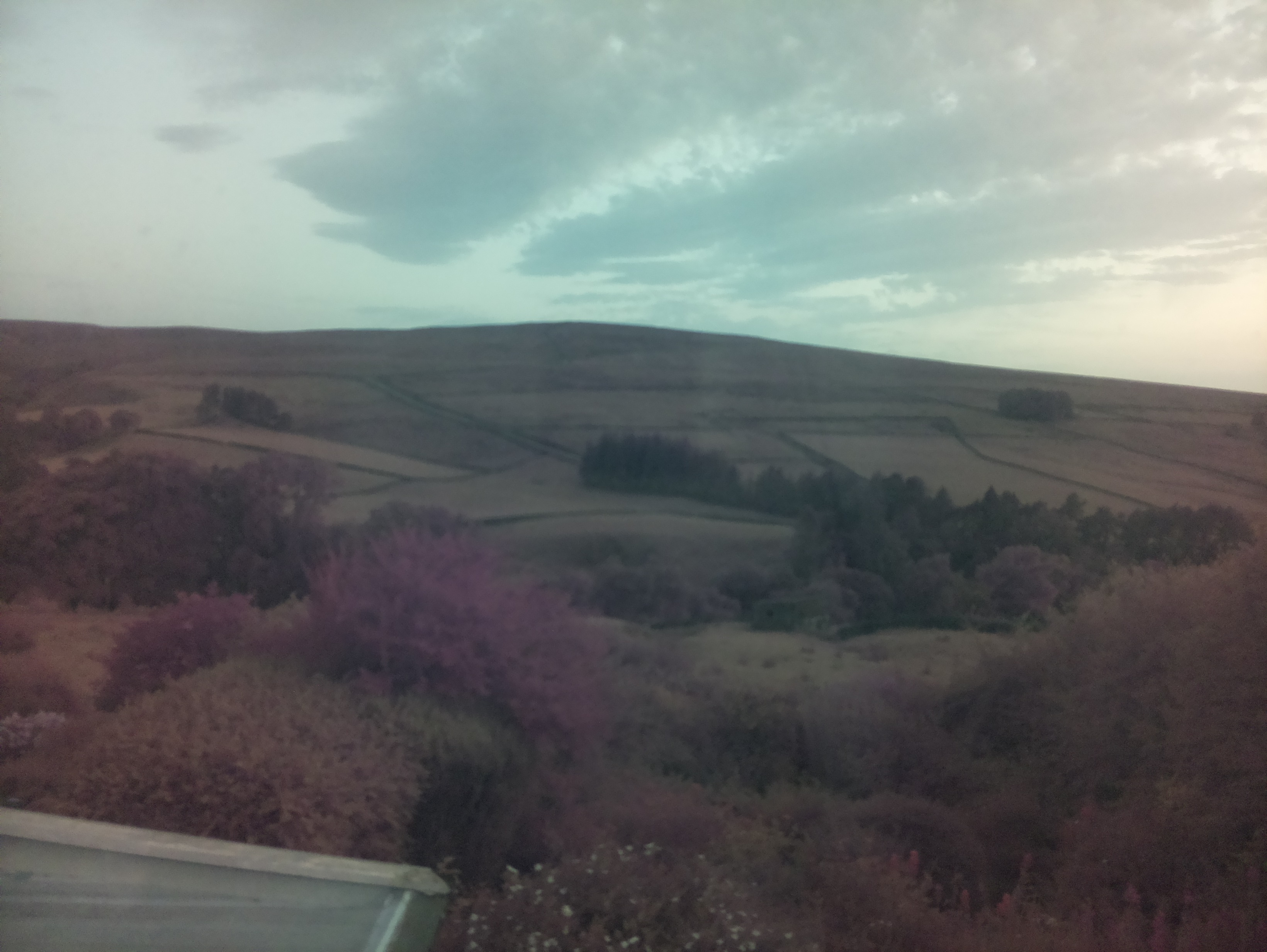 raspi webcam photo