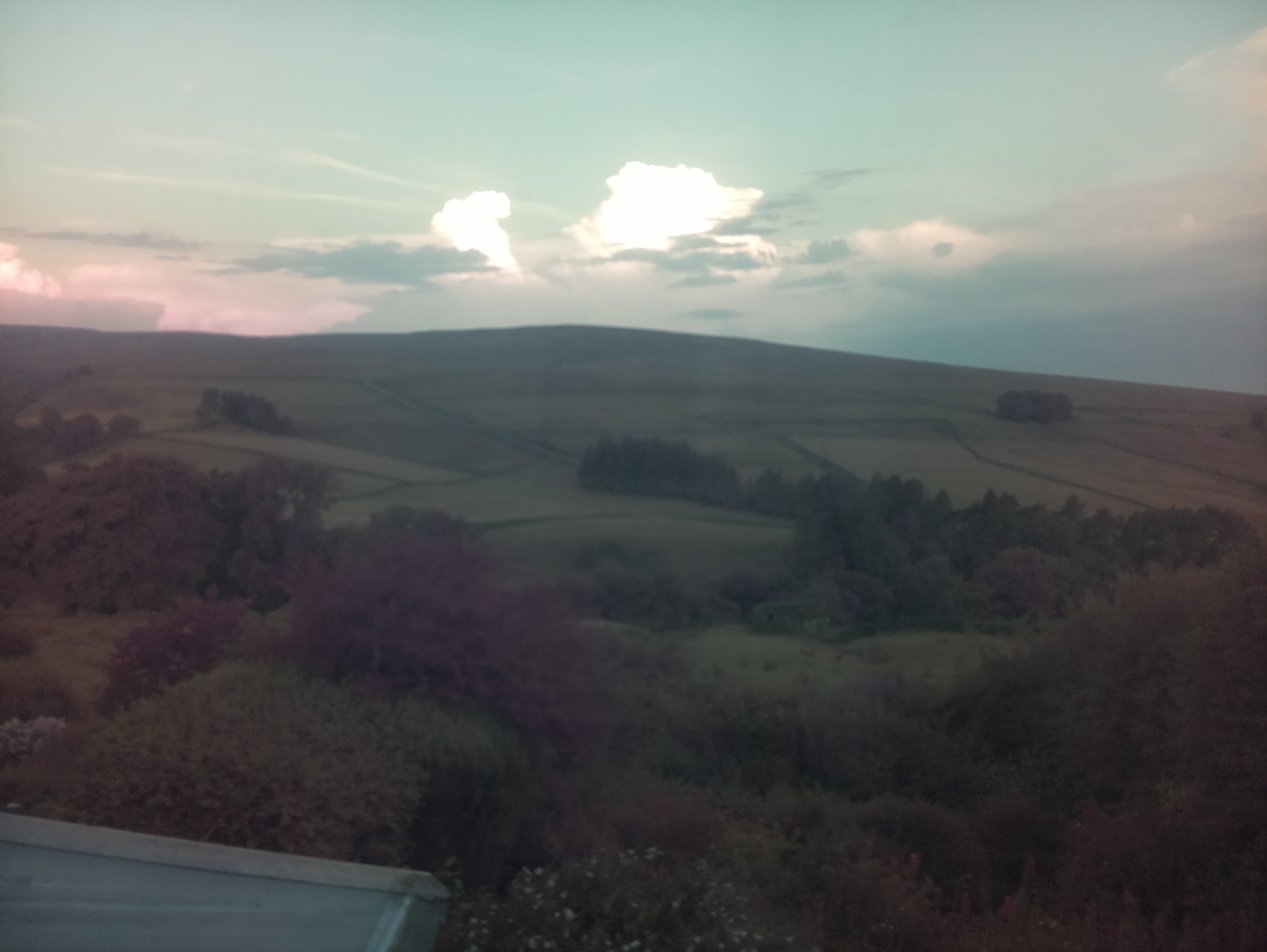 raspi webcam photo