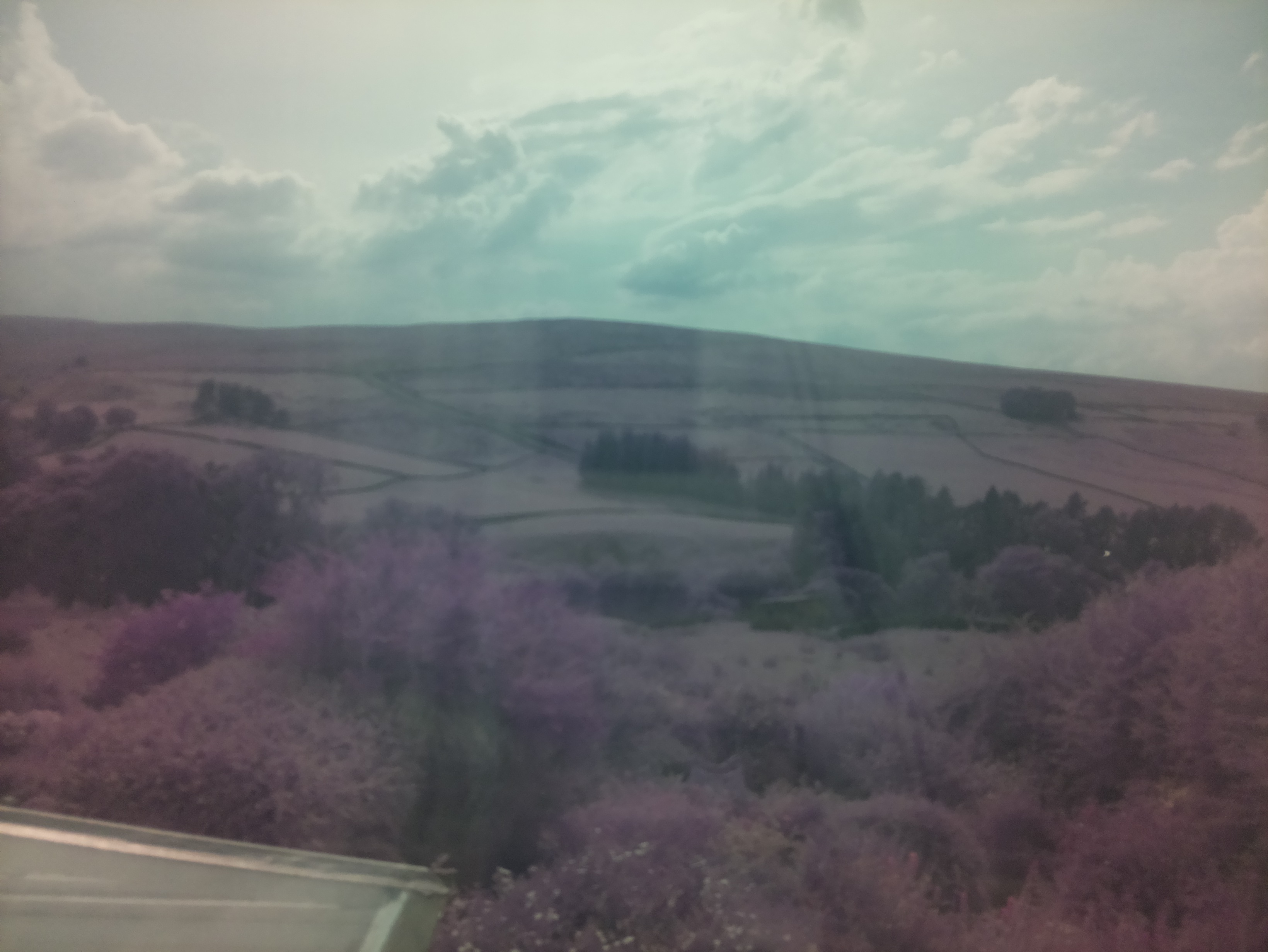 raspi webcam photo