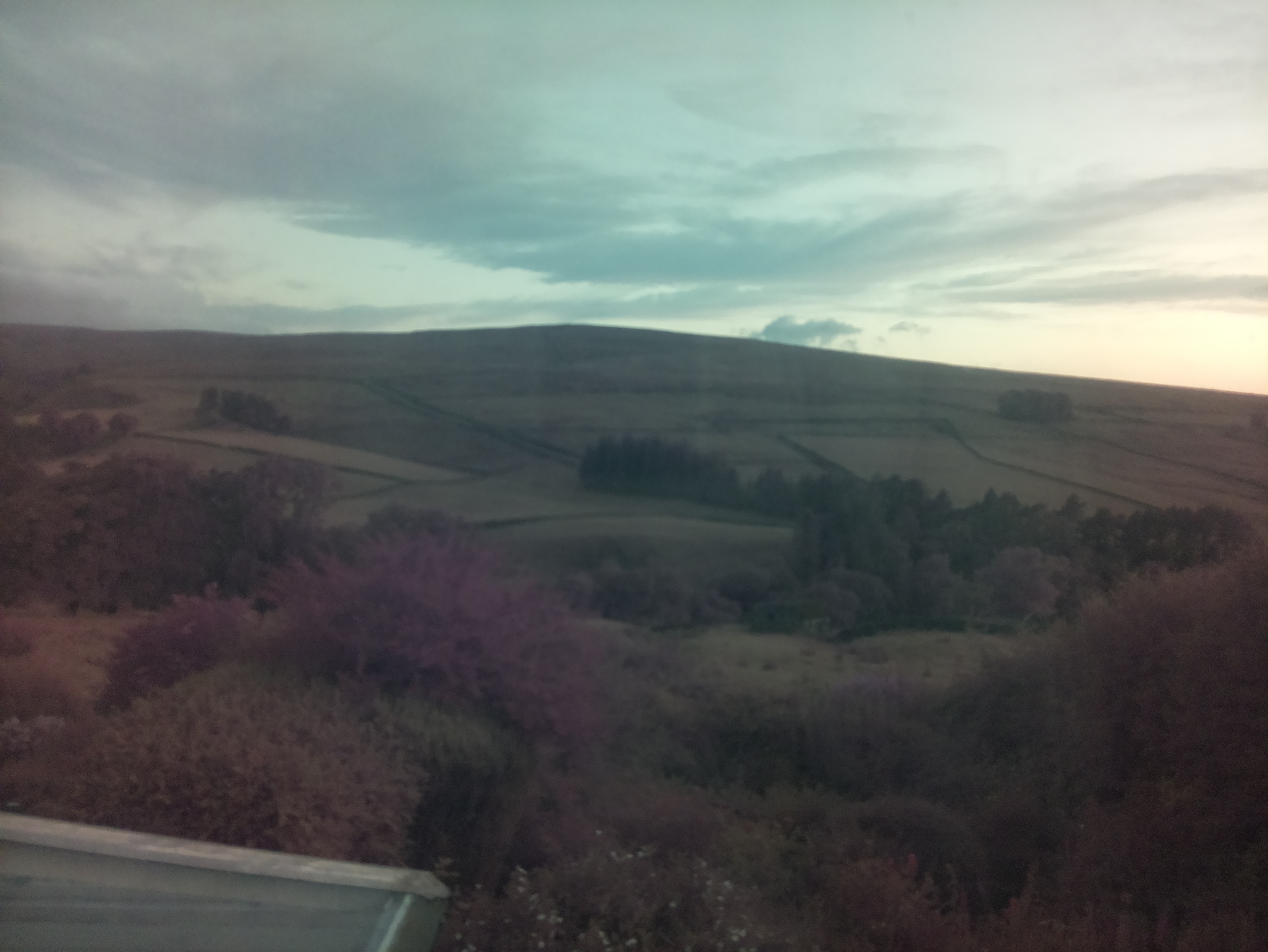 raspi webcam photo