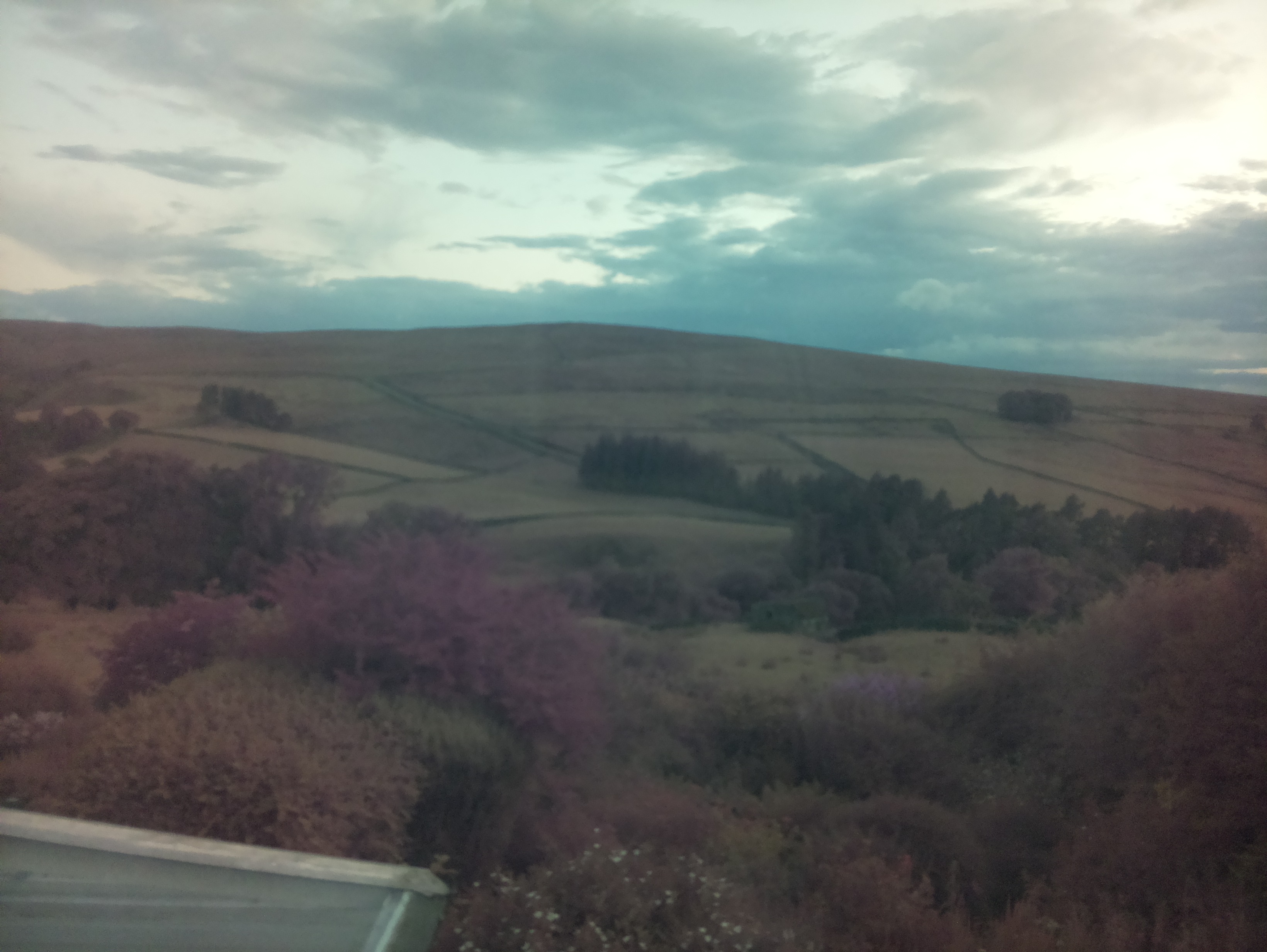 raspi webcam photo