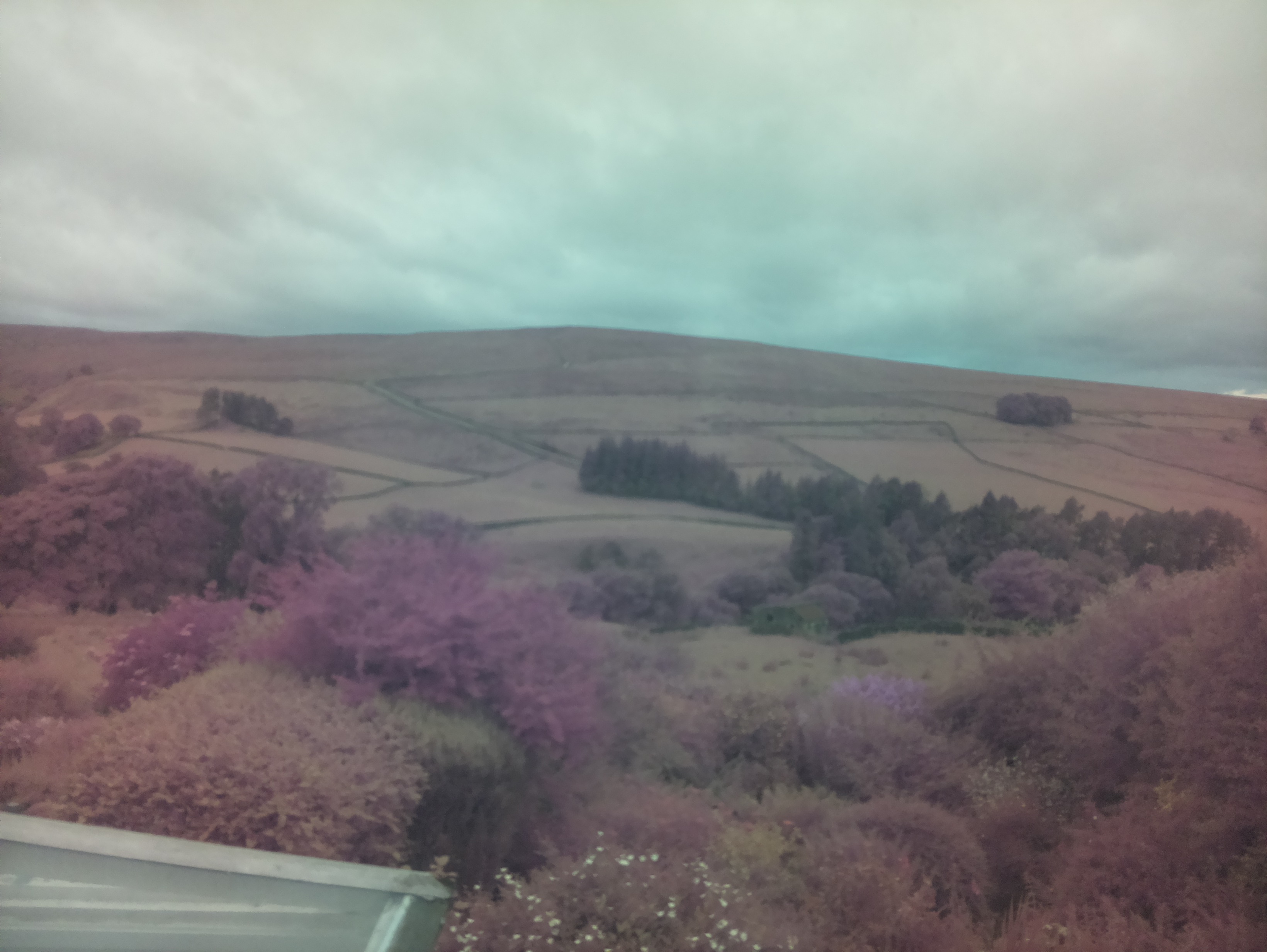 raspi webcam photo