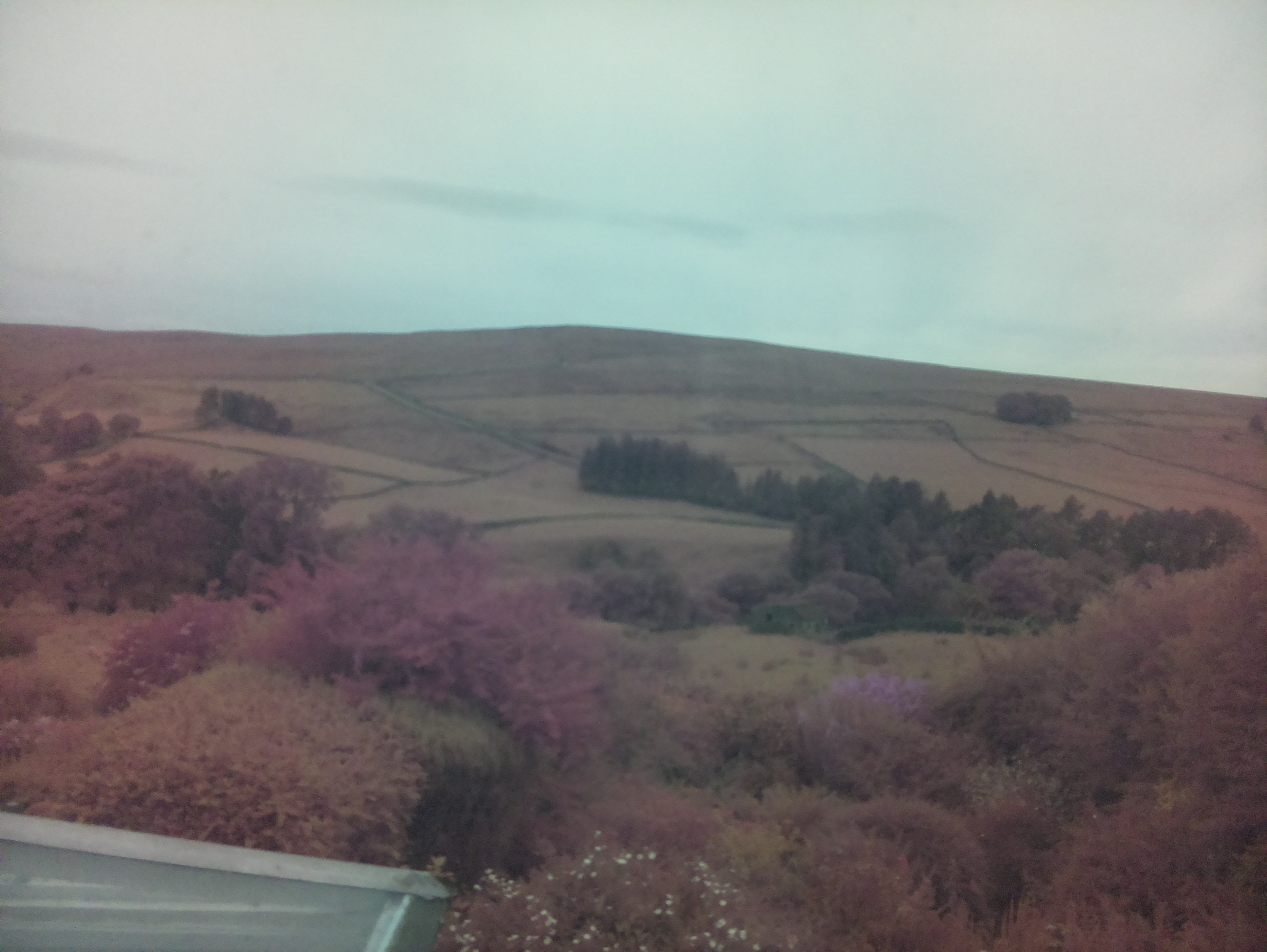 raspi webcam photo