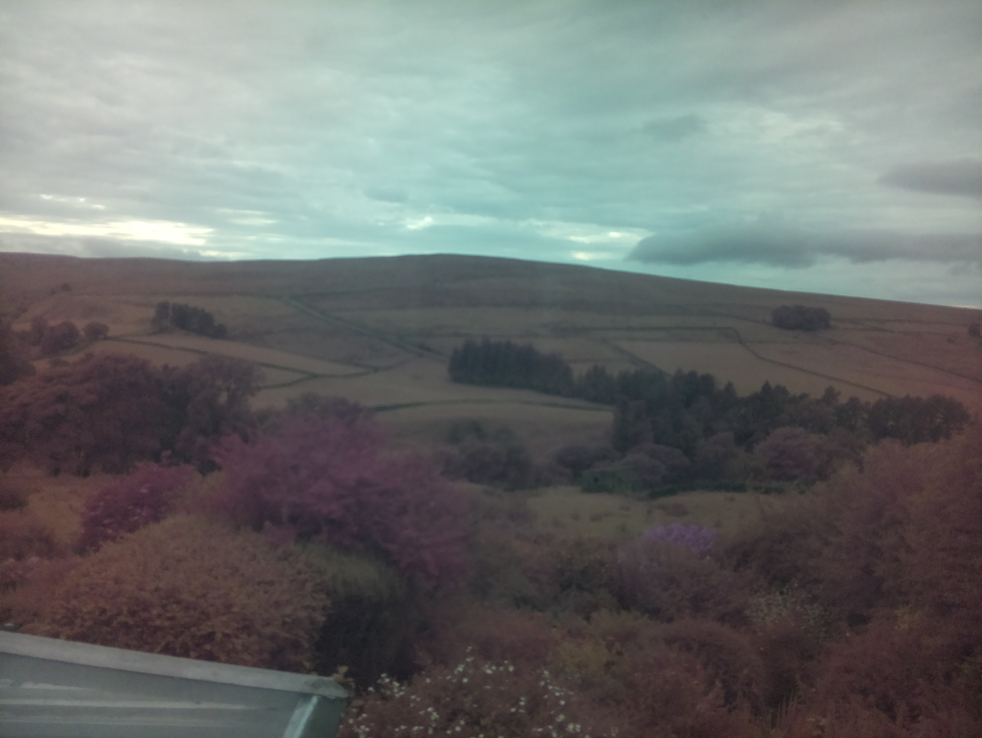 raspi webcam photo