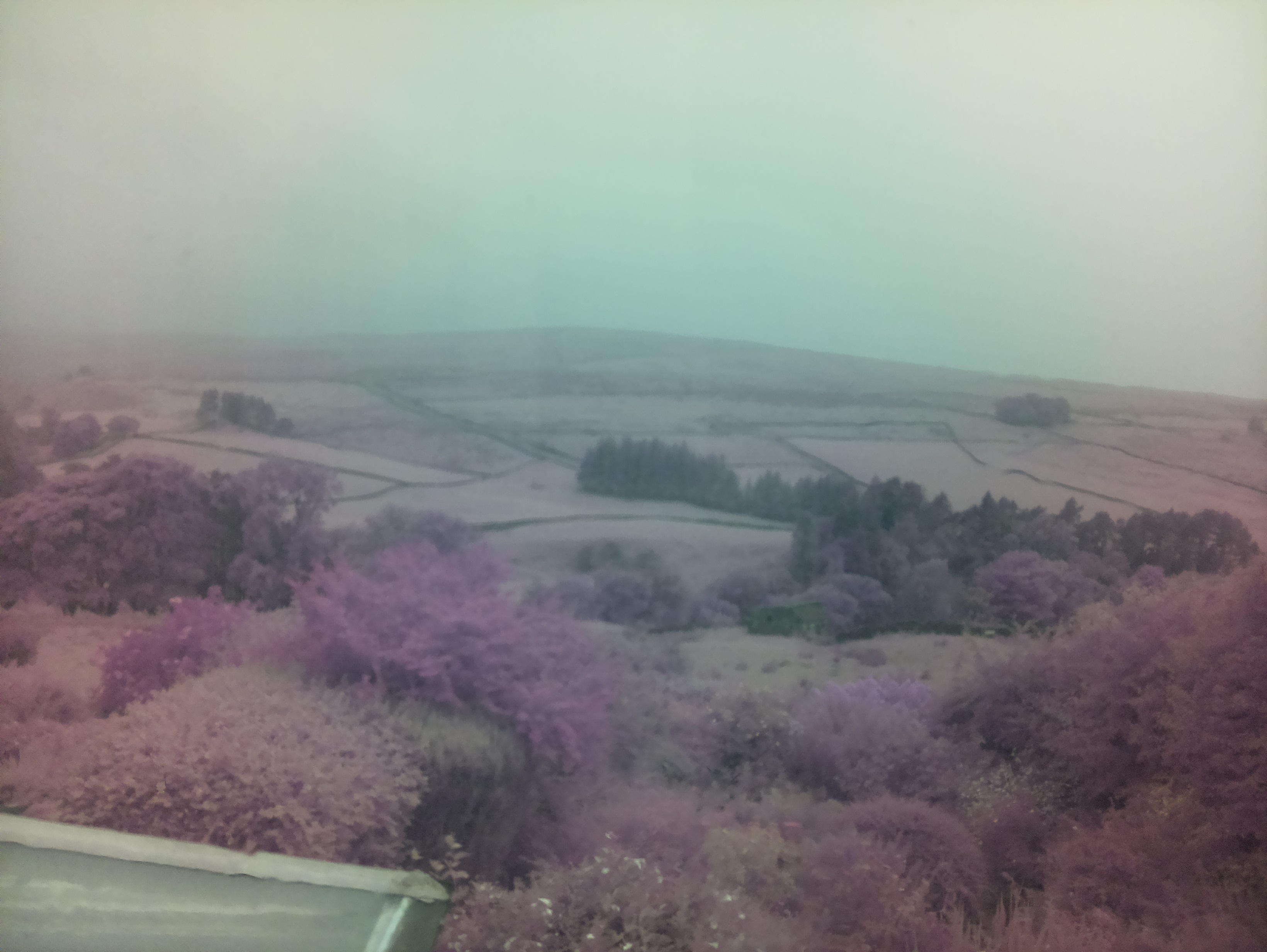 raspi webcam photo