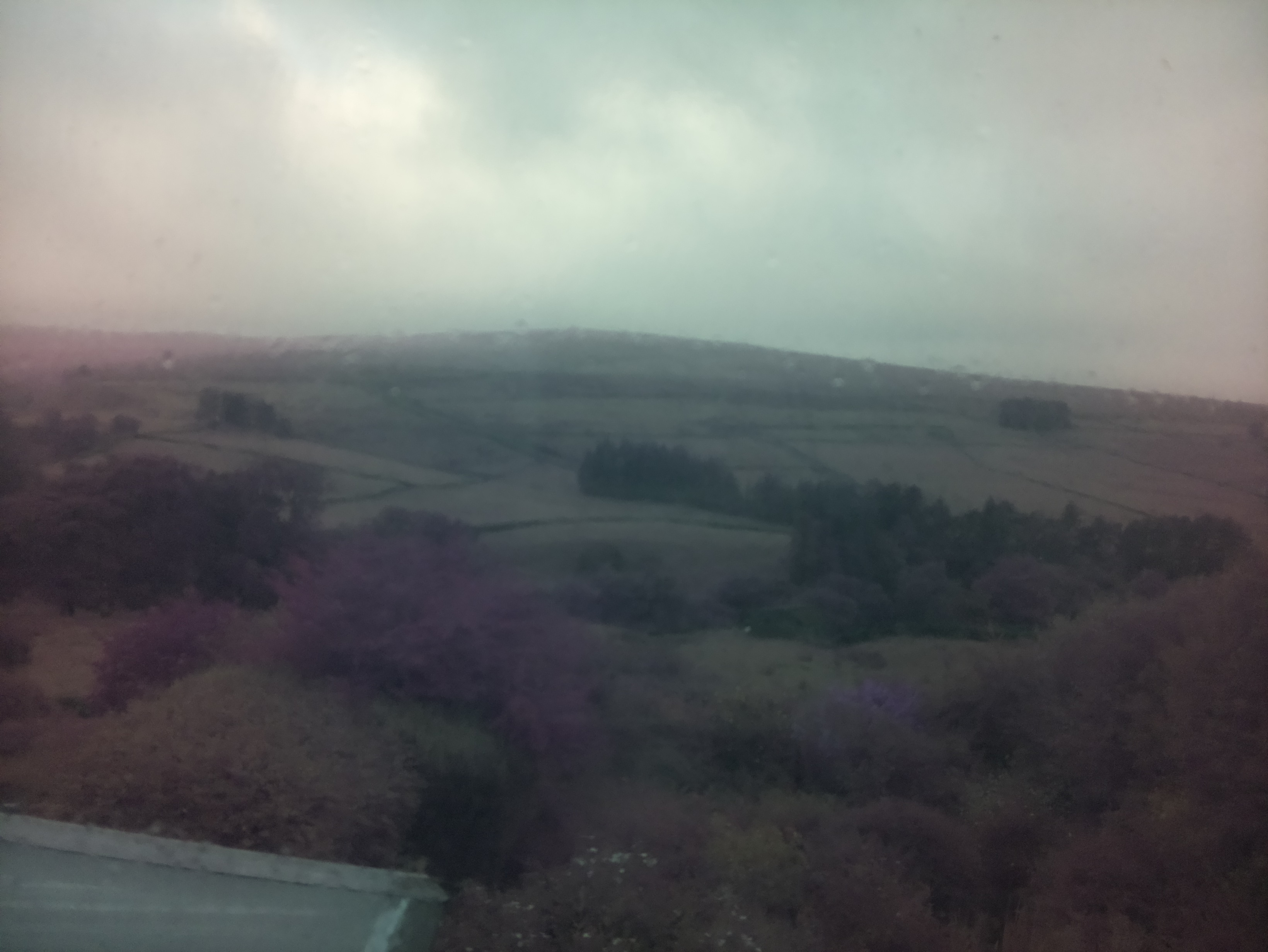 raspi webcam photo