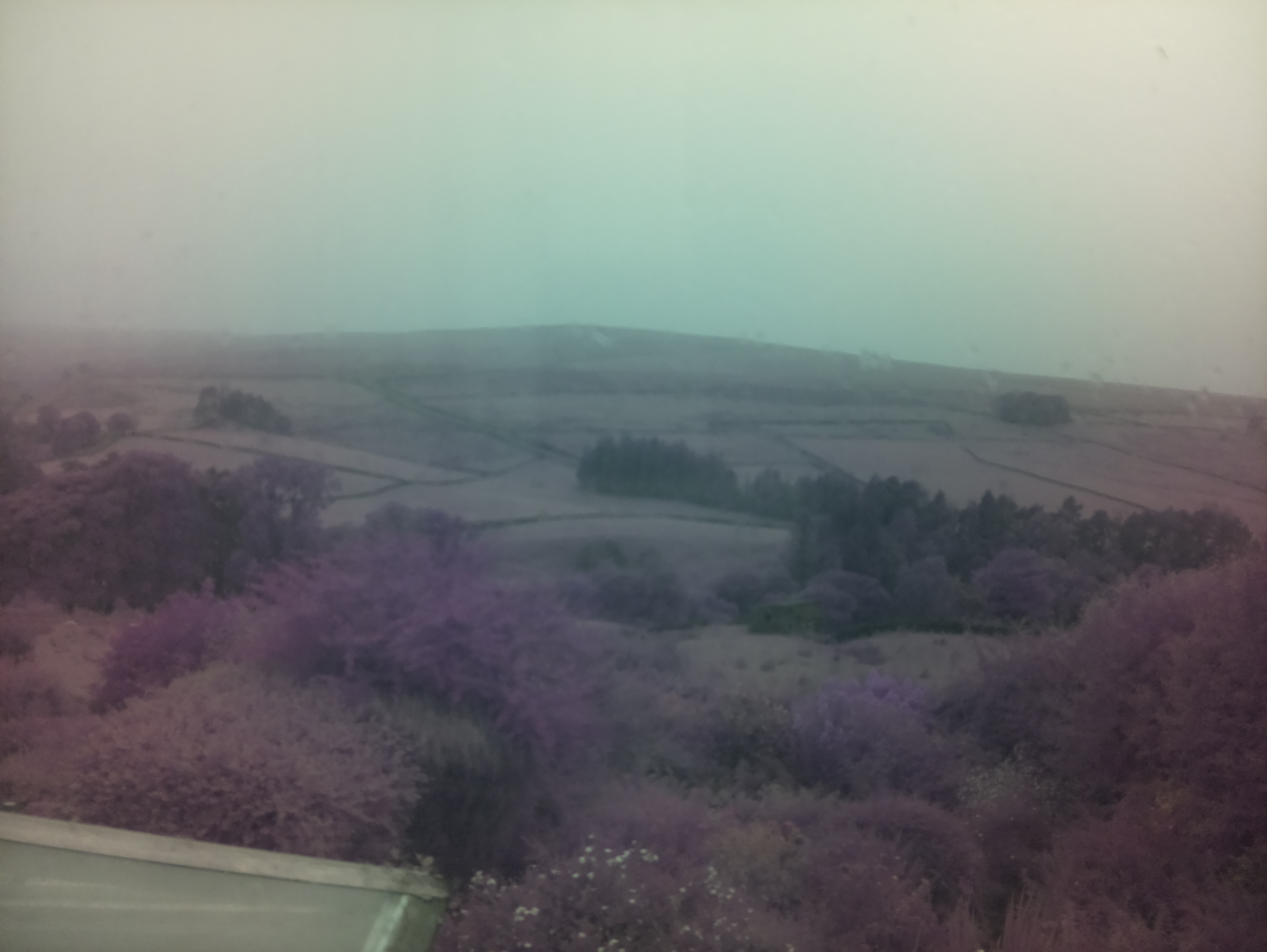 raspi webcam photo