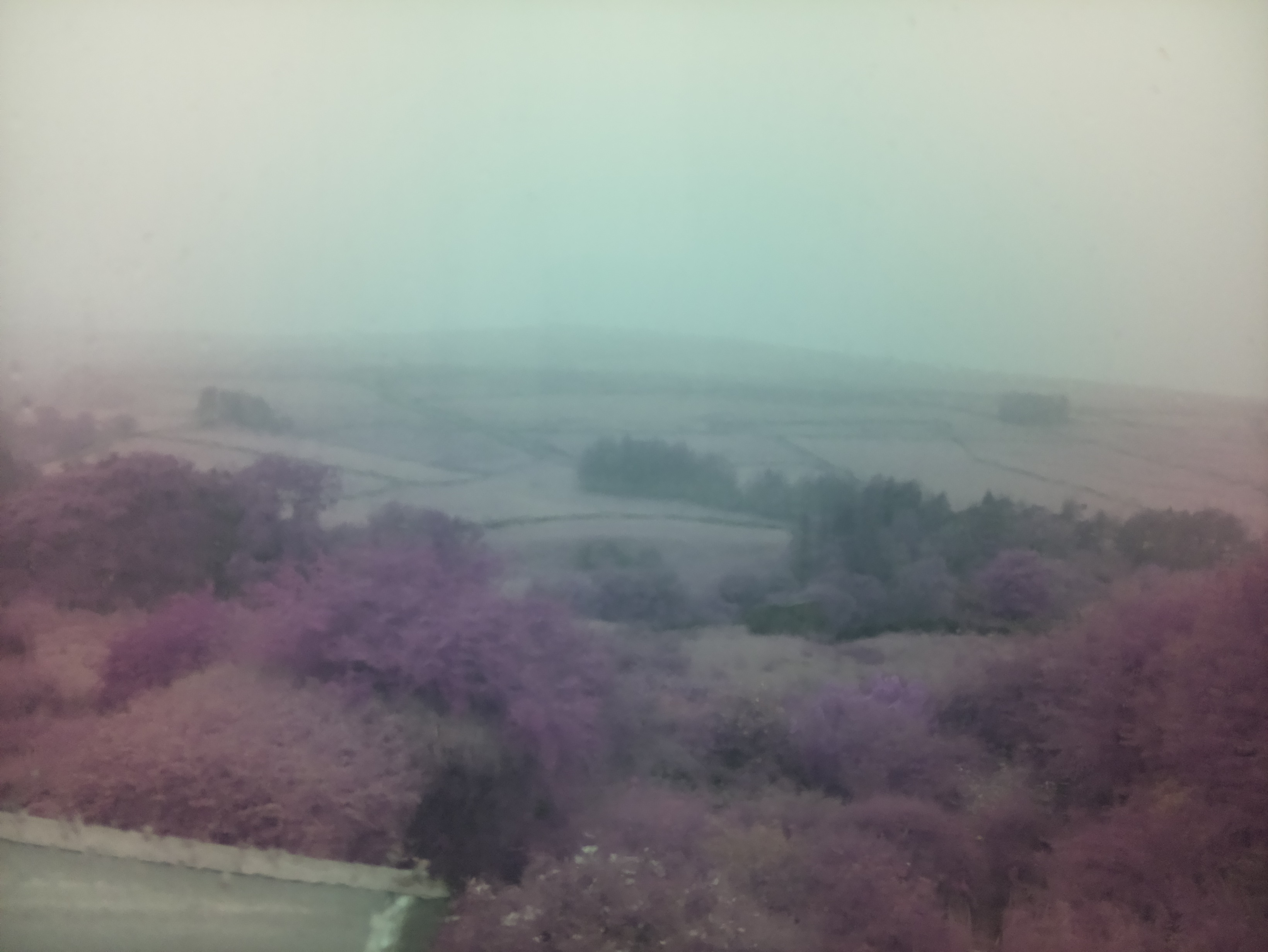 raspi webcam photo
