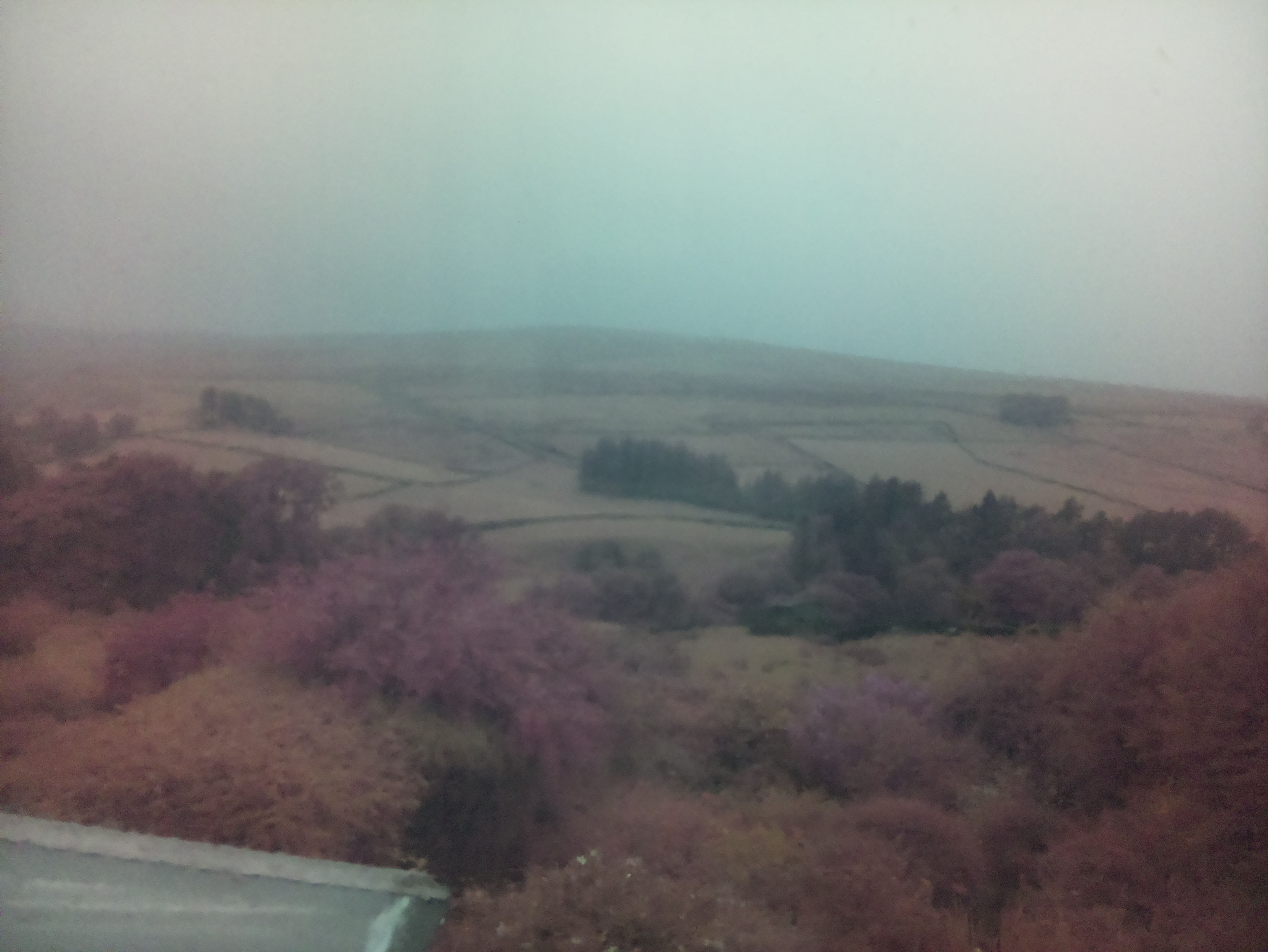 raspi webcam photo