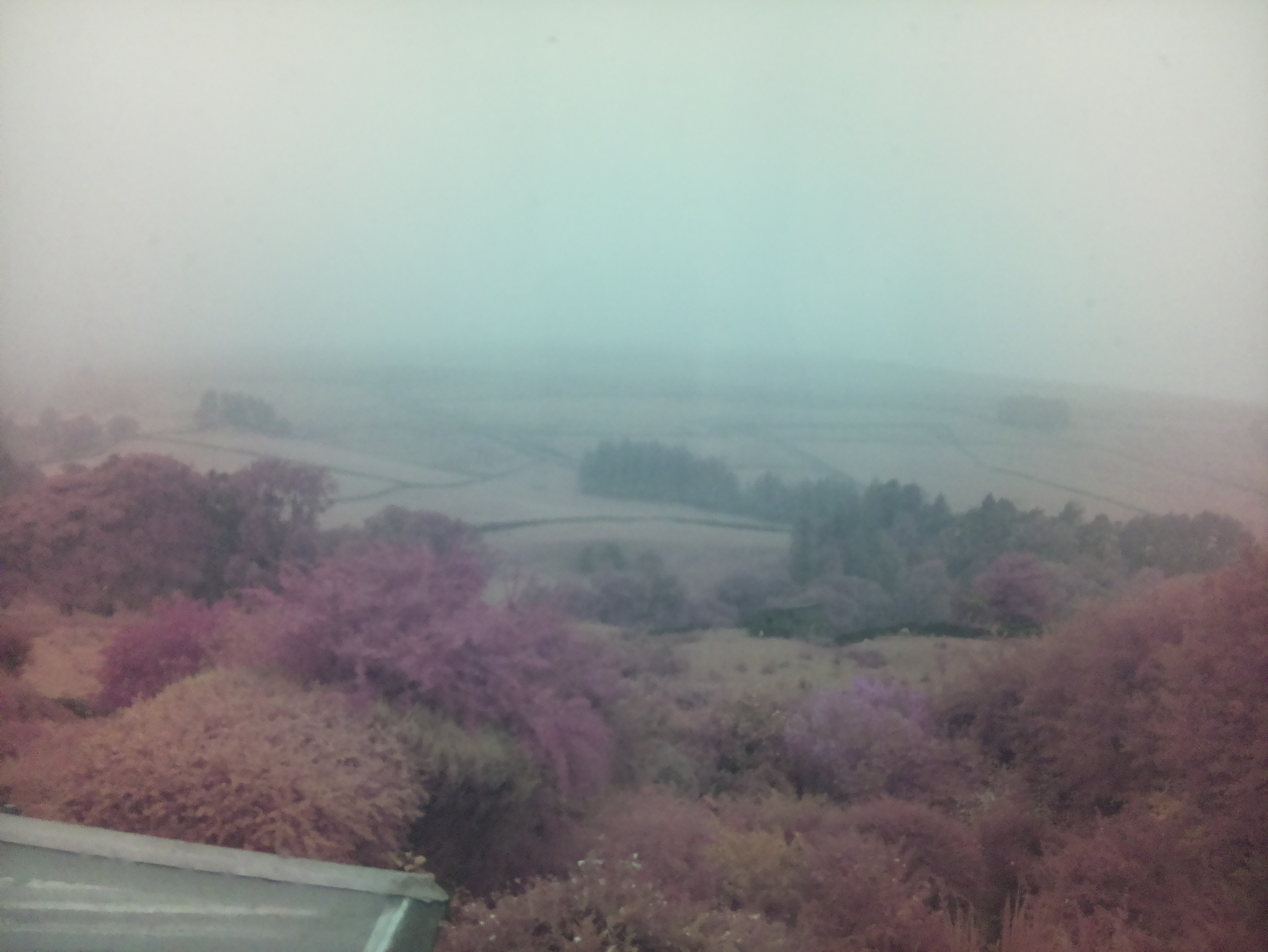 raspi webcam photo