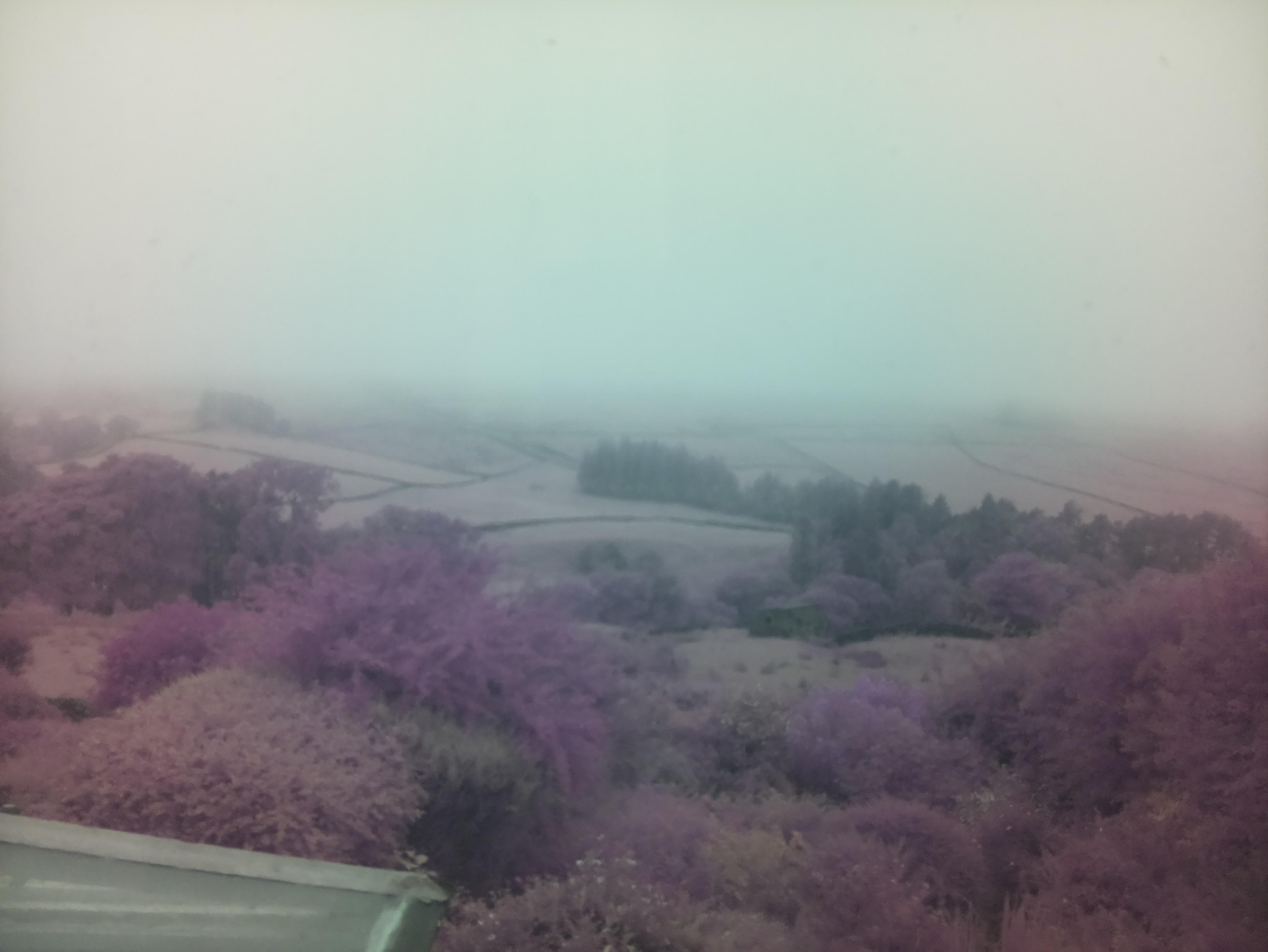 raspi webcam photo