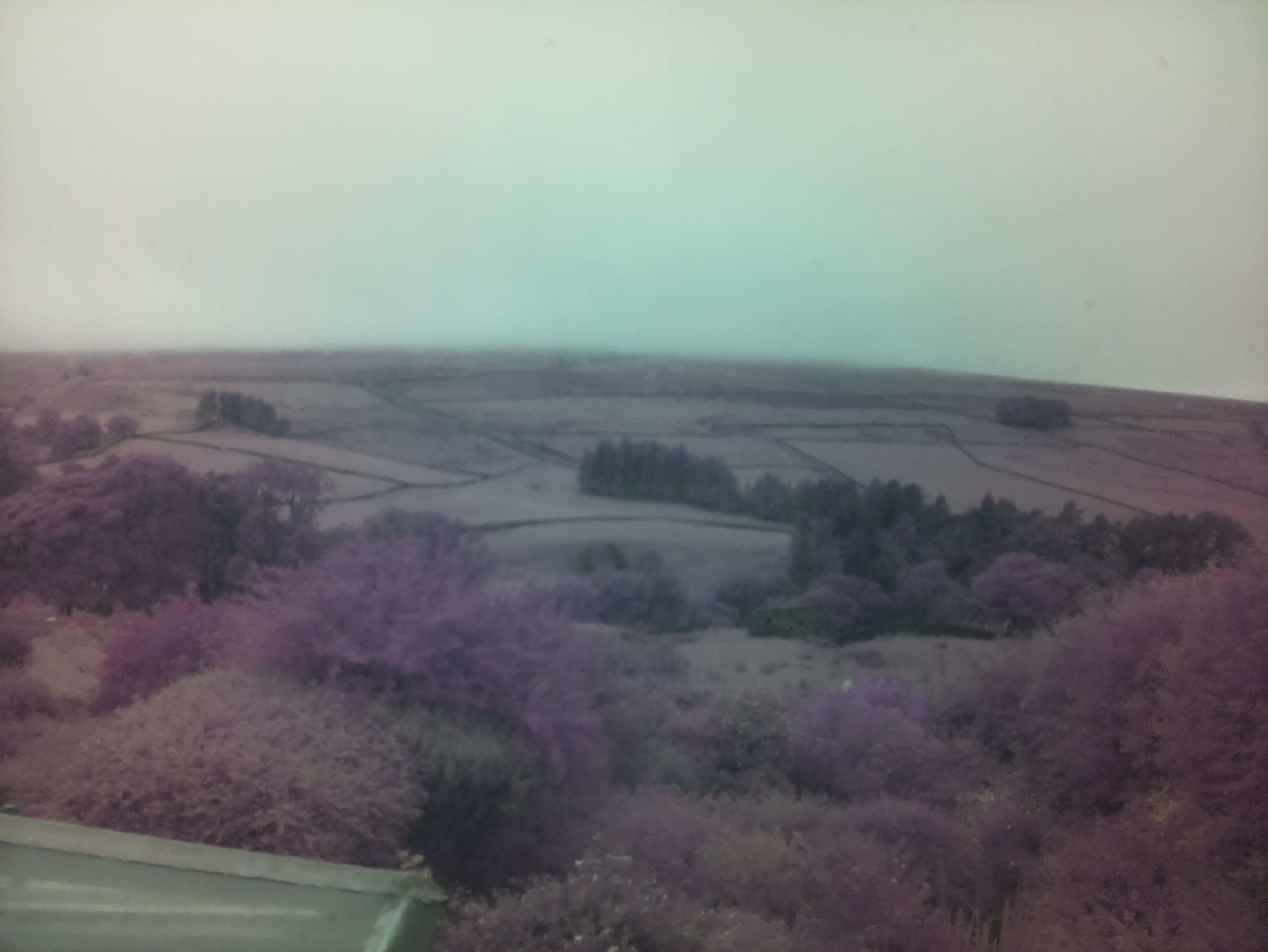 raspi webcam photo