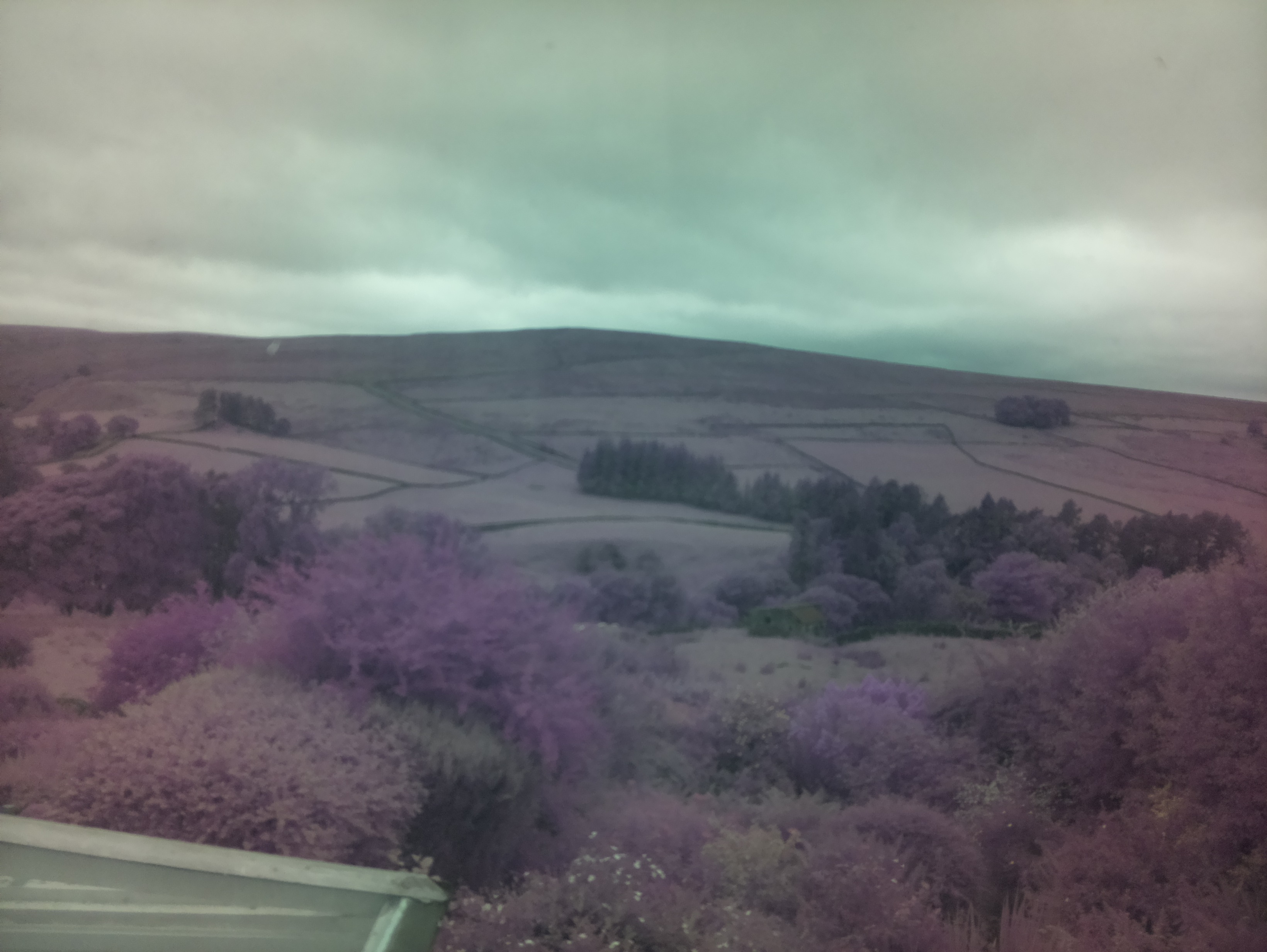 raspi webcam photo